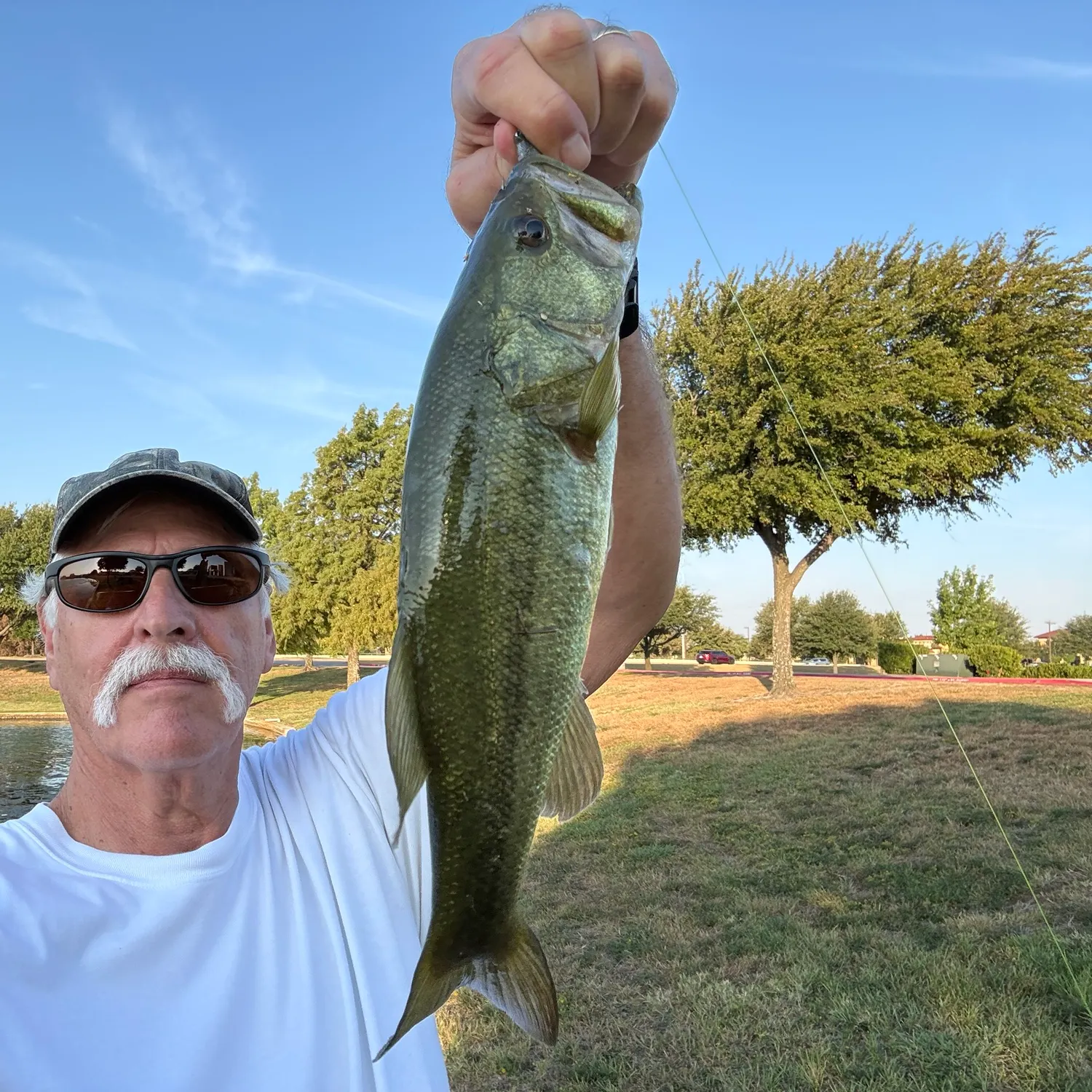 Largemouth bass caught on Fishbrain