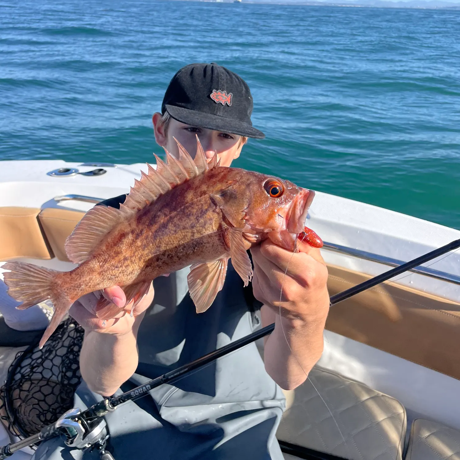 The most recent Copper rockfish catches on Fishbrain