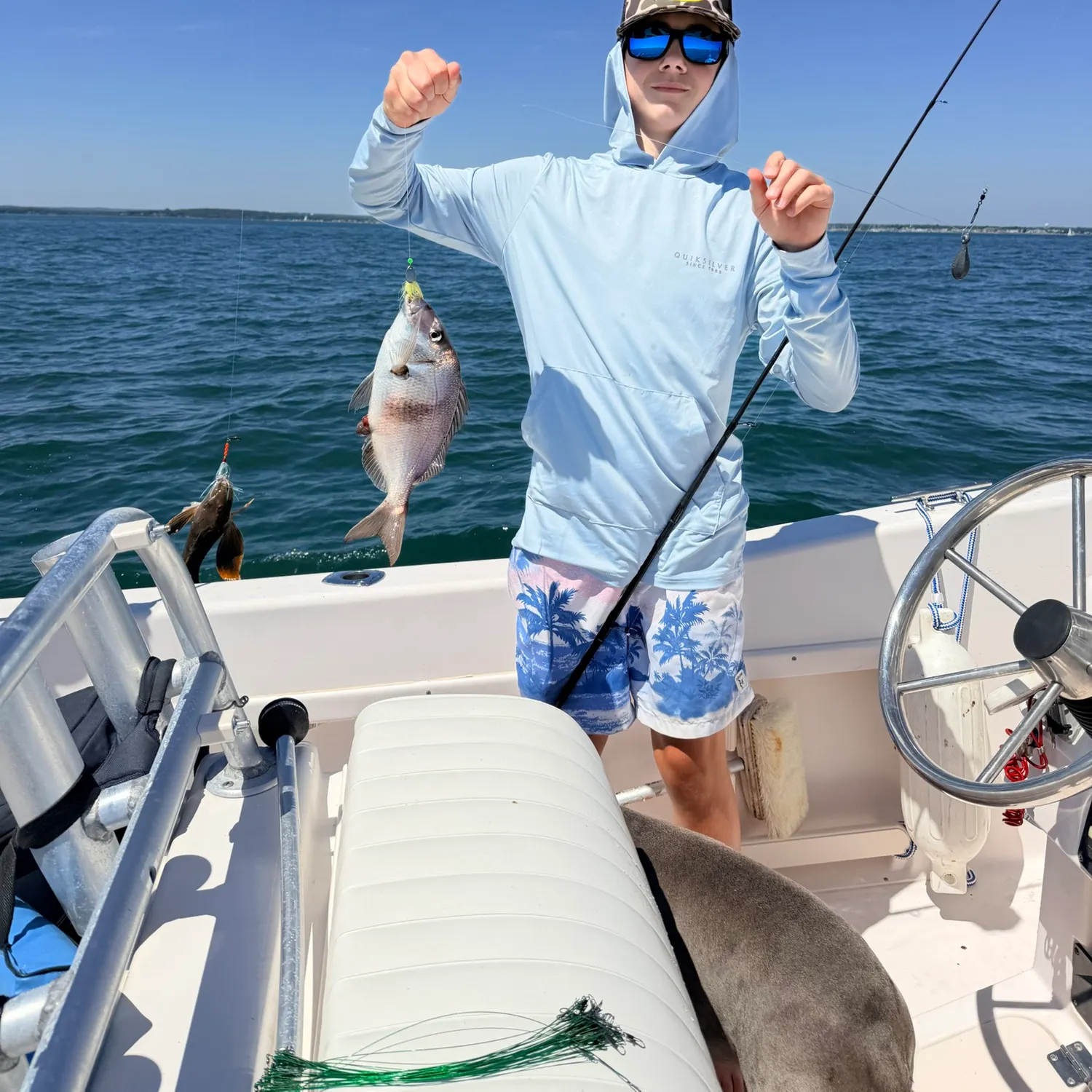 The most recent Pink dentex catches on Fishbrain
