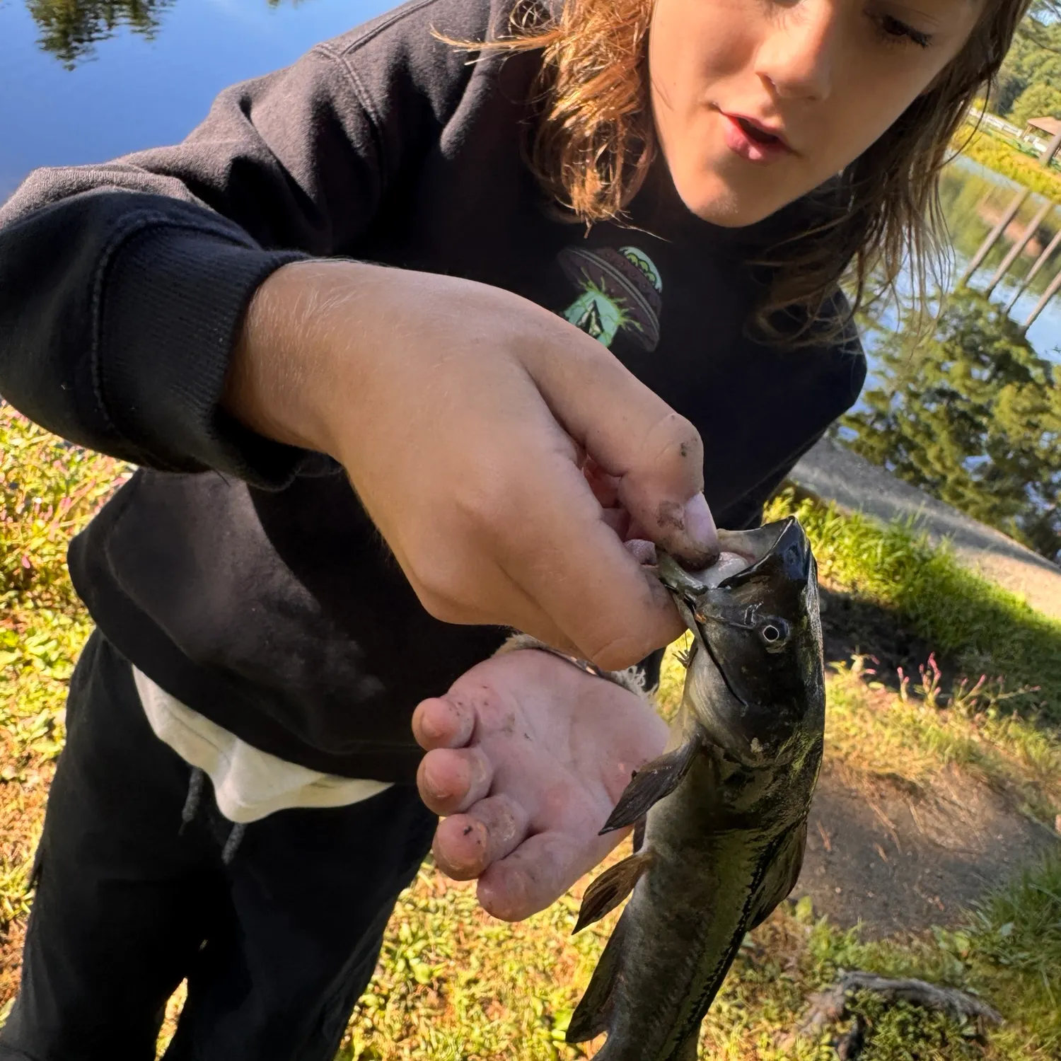 Black bullhead caught on Fishbrain