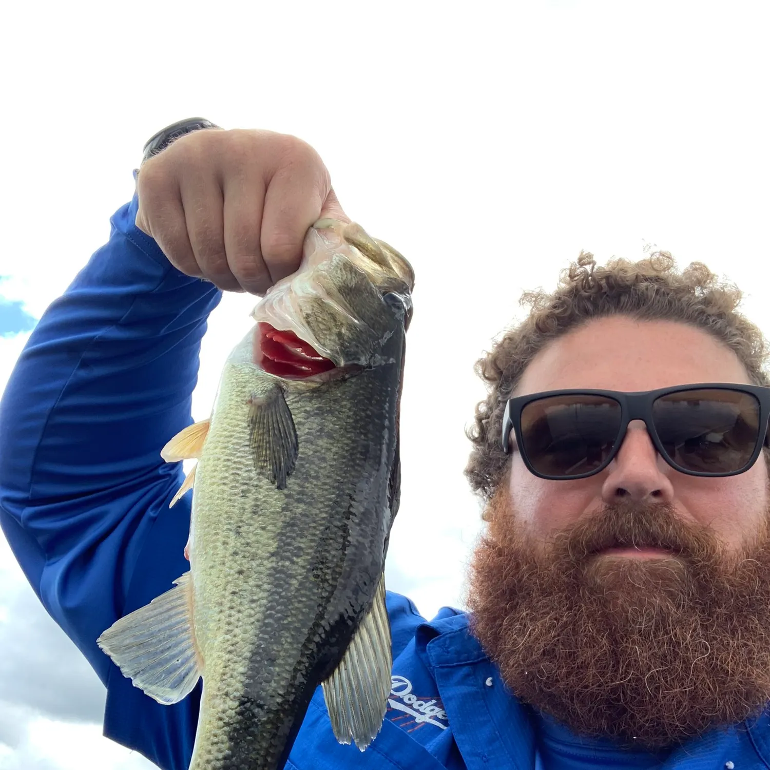 angler catch