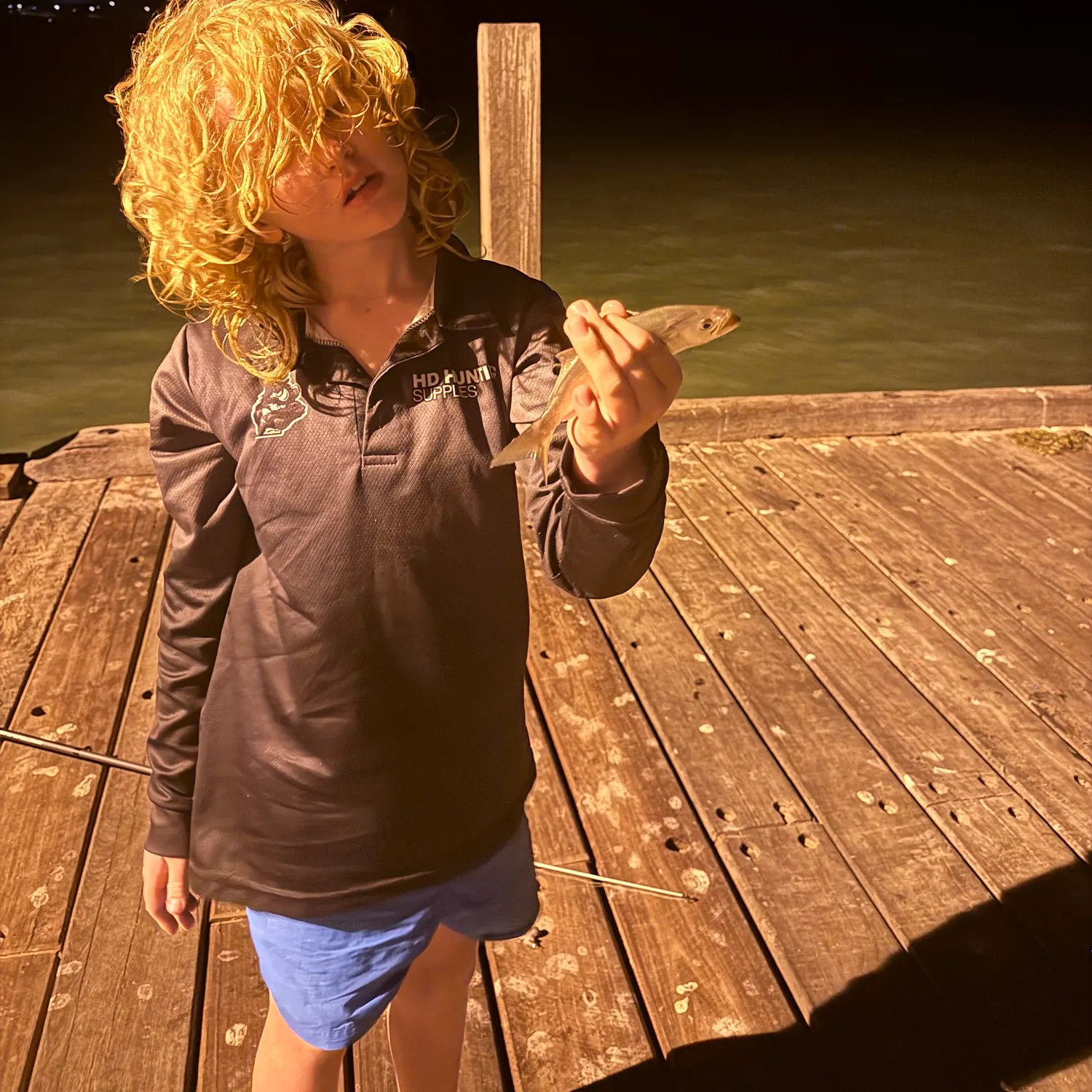 The most recent Bluefish catches on Fishbrain