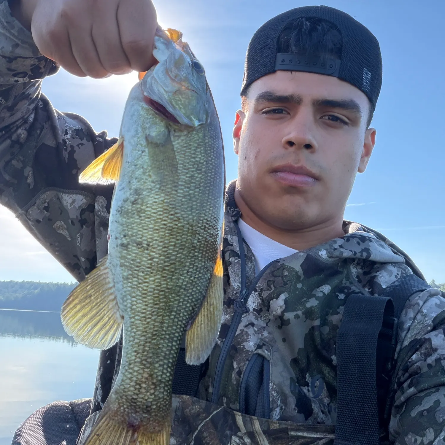 Smallmouth bass caught on Fishbrain