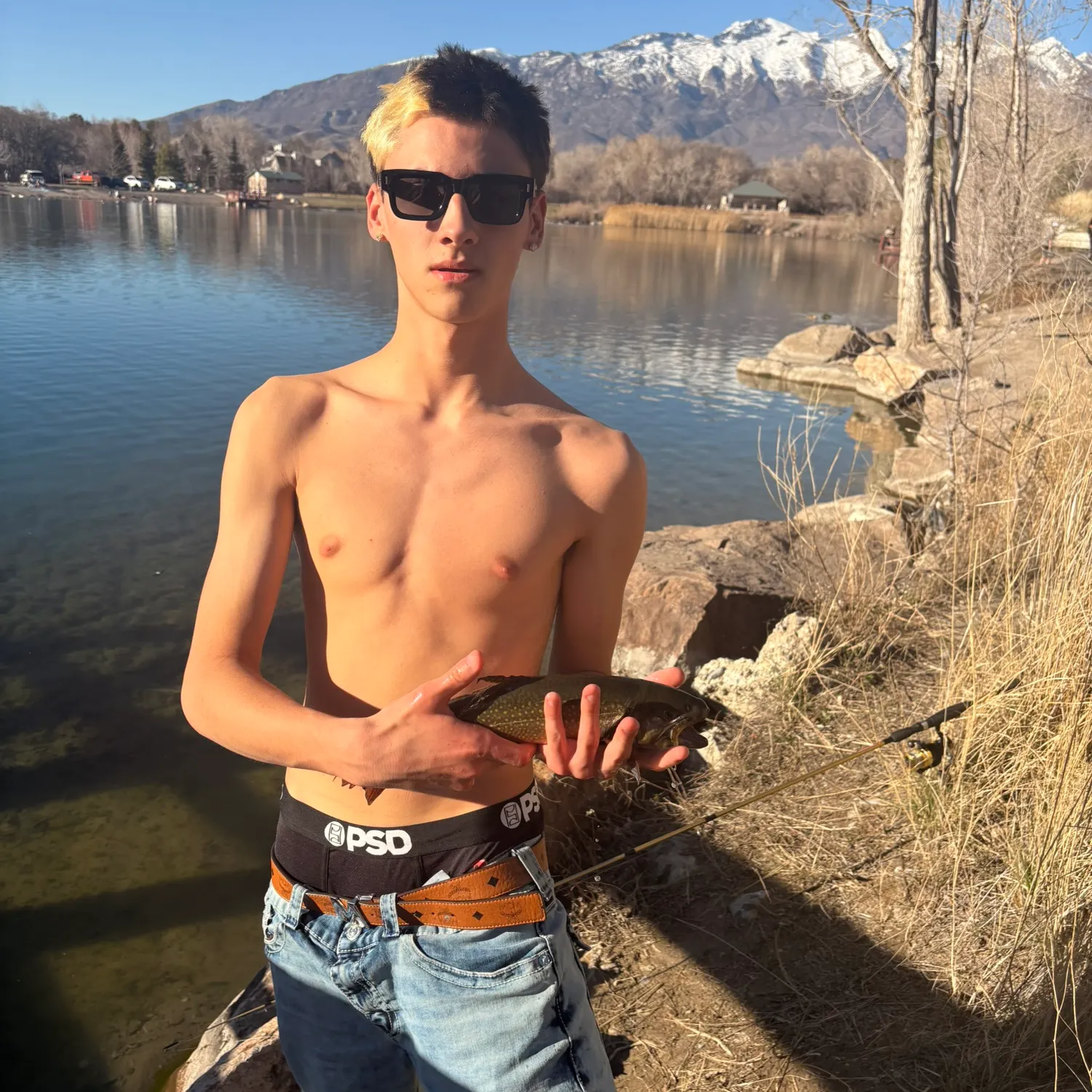The most recent Brook trout catches on Fishbrain