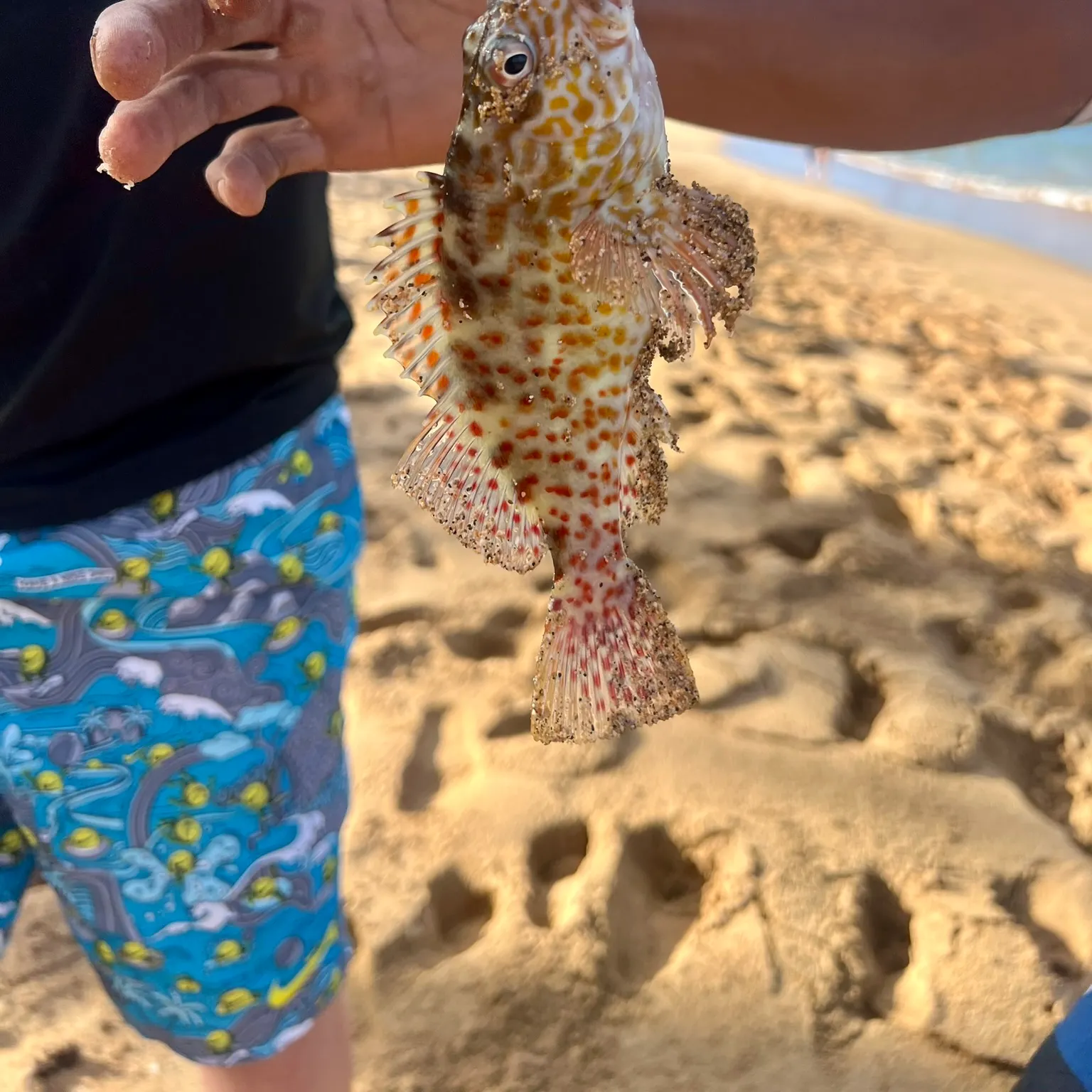 catch