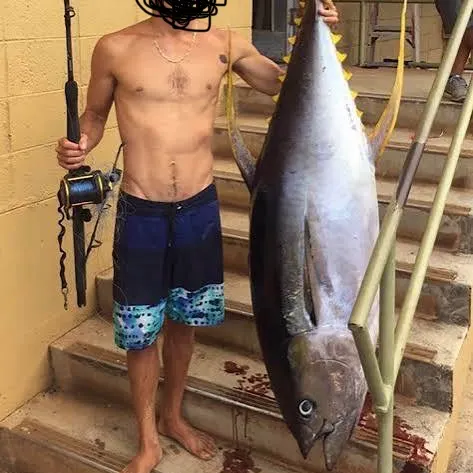 The most recent Atlantic bluefin tuna catches on Fishbrain