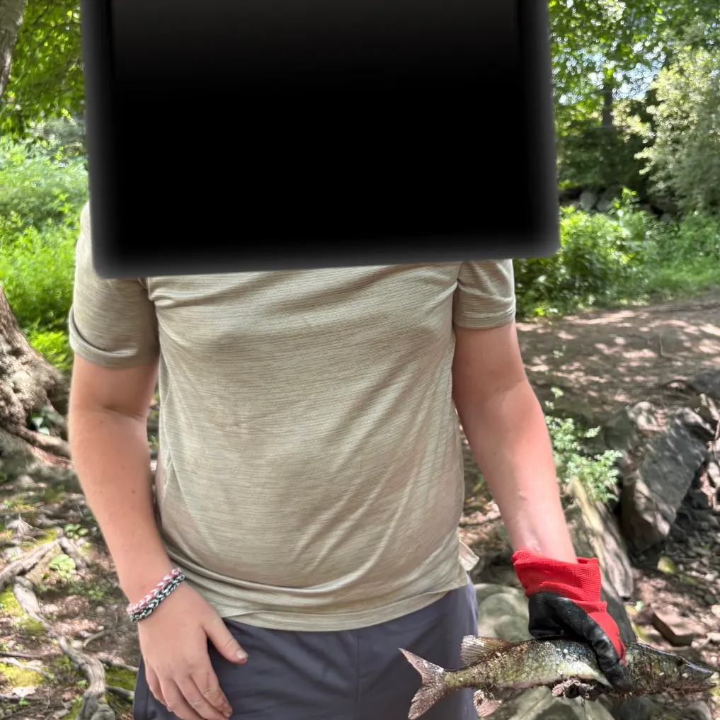 Chain pickerel caught on Fishbrain