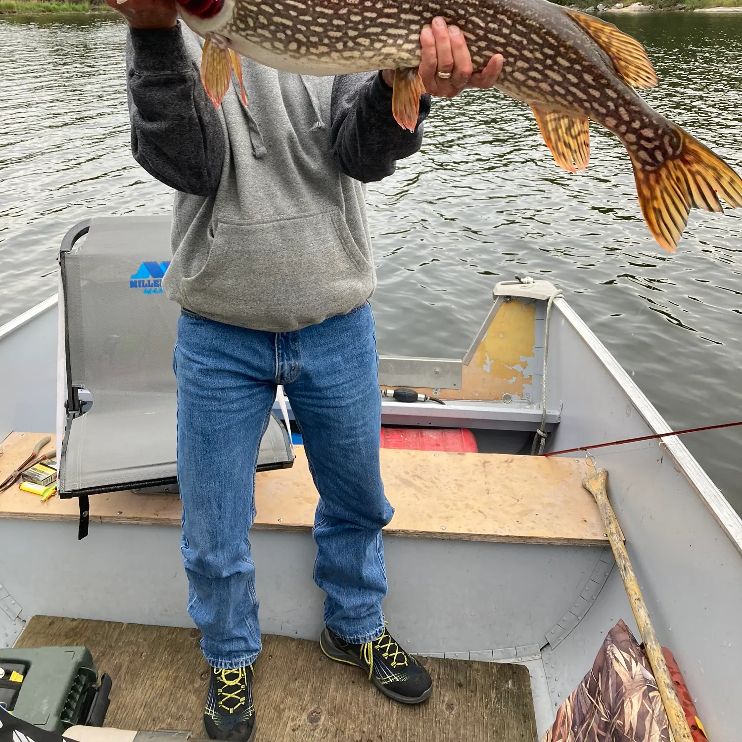 Northern pike caught on Fishbrain