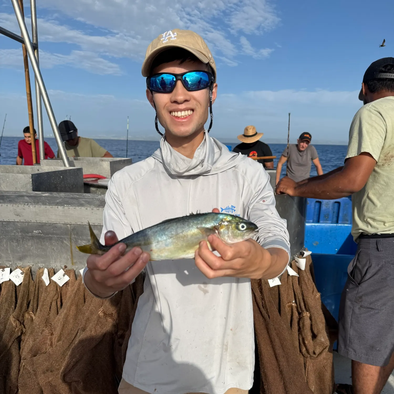 California yellowtail amberjack caught on Fishbrain