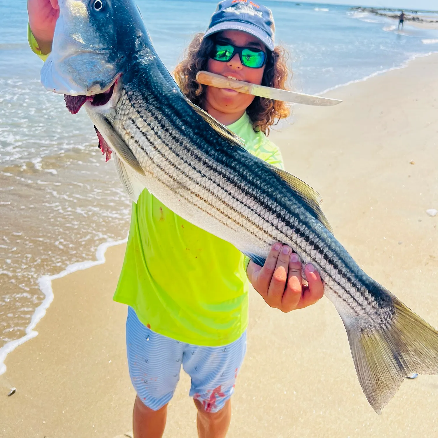 Striped bass caught on Fishbrain