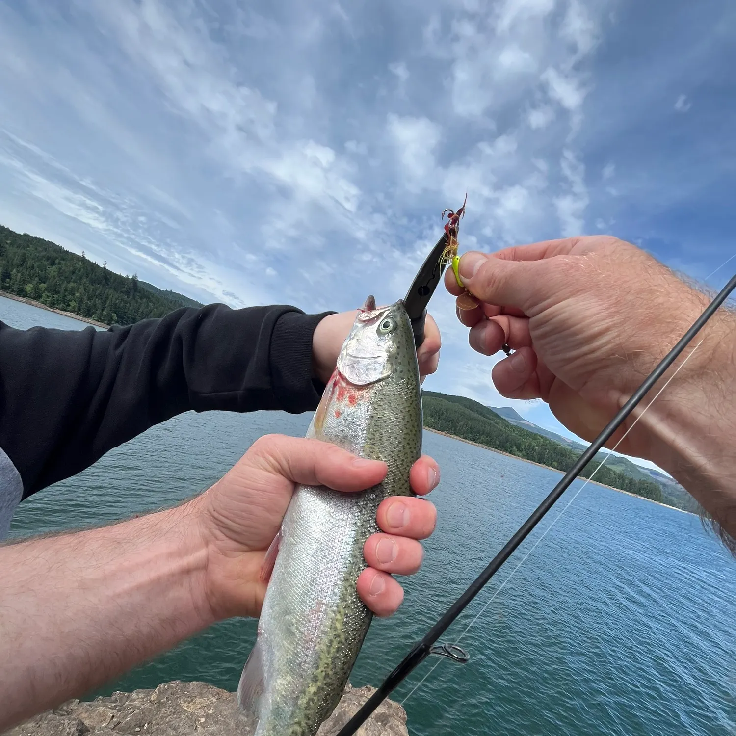 recently logged catches