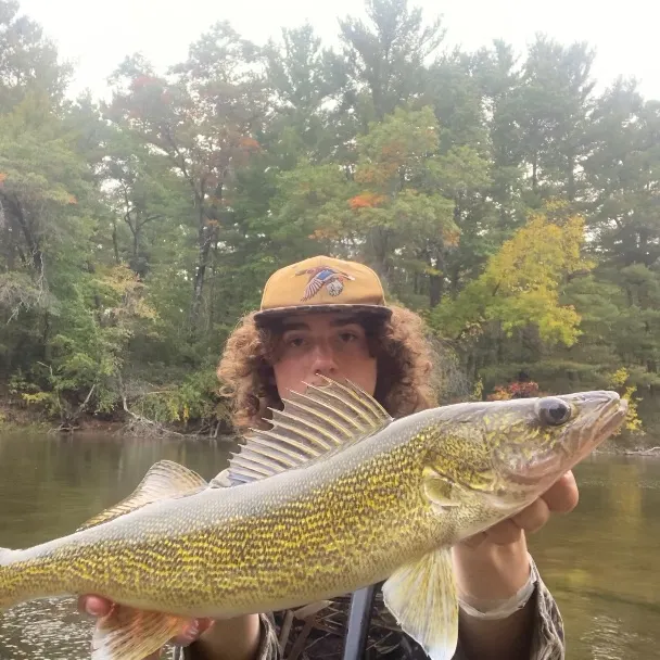 Walleye caught on Fishbrain