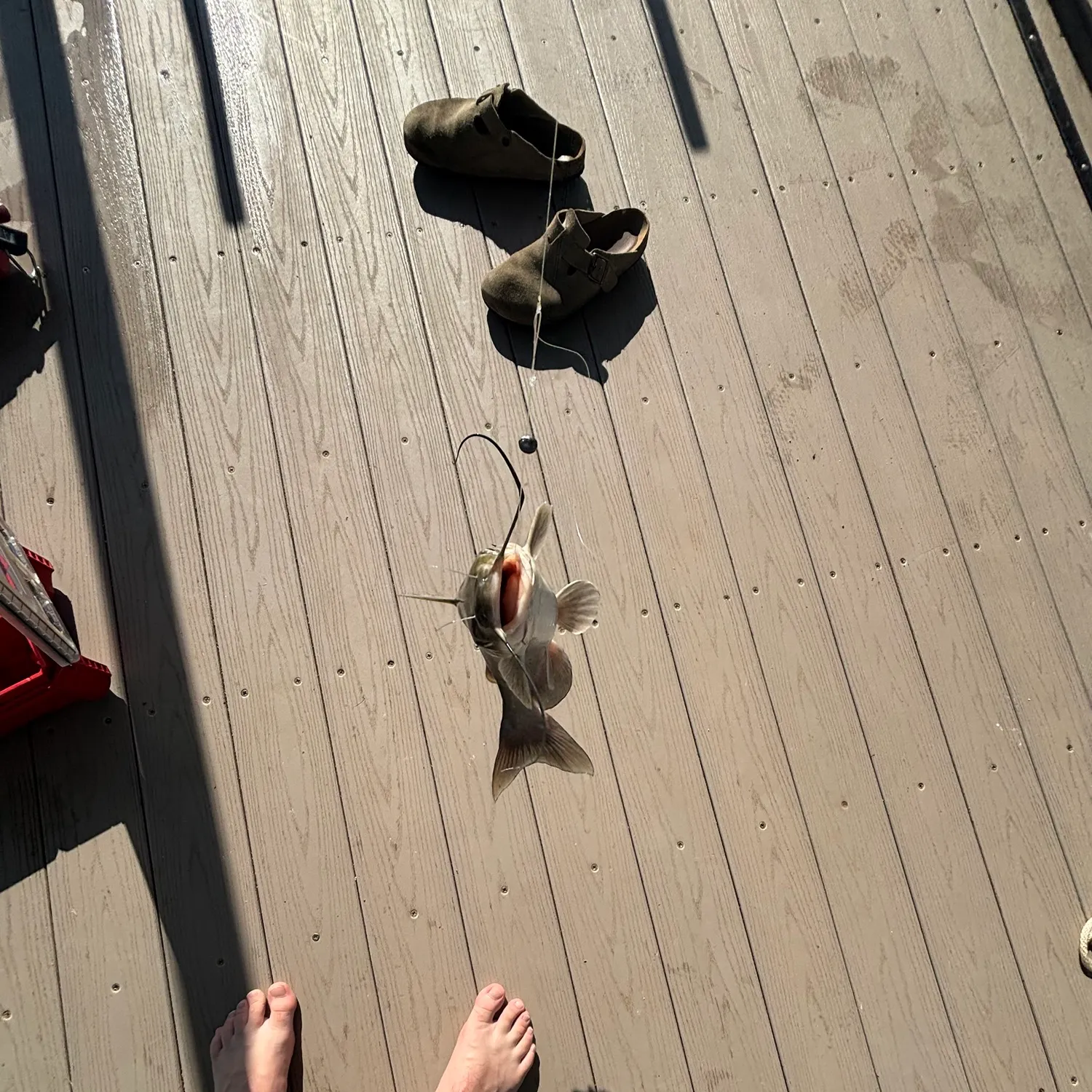 catch