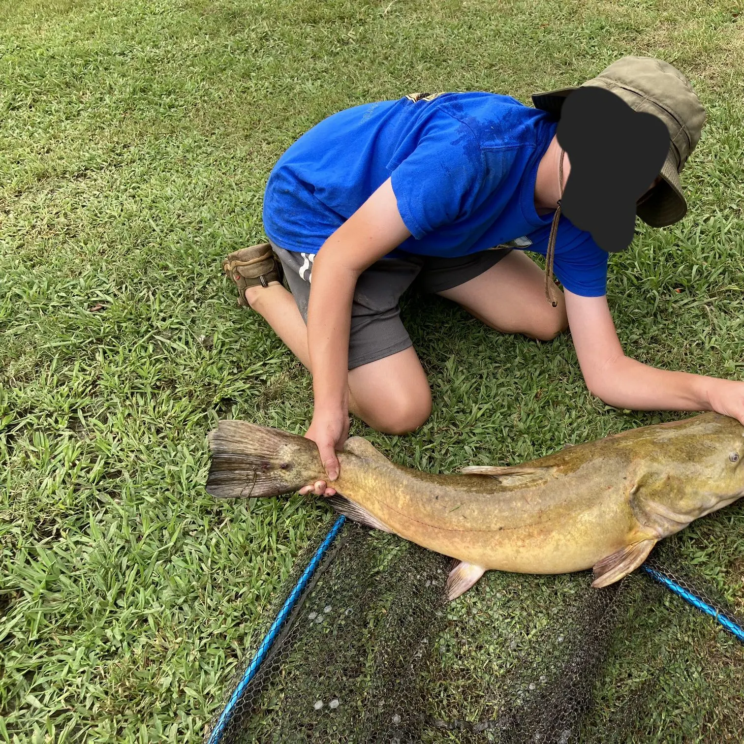 Flathead catfish caught on Fishbrain