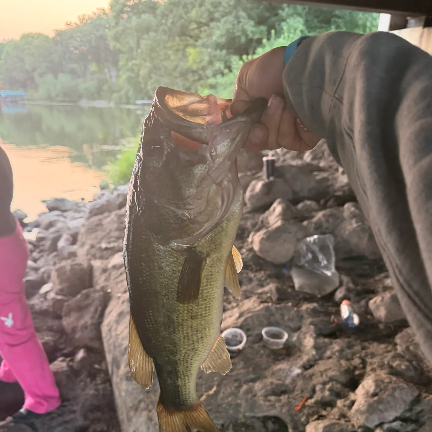 Fish caught on Fishbrain