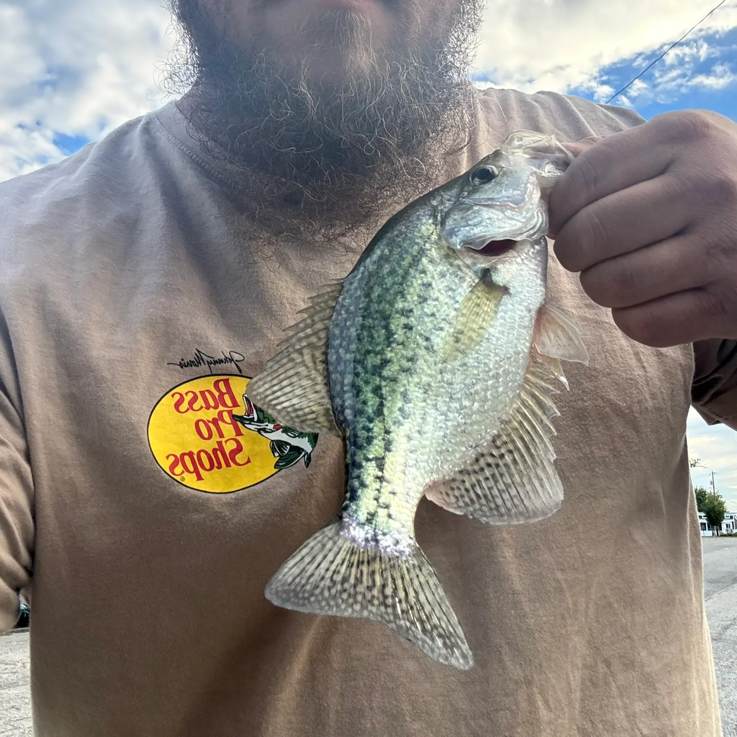 Fish caught on Fishbrain