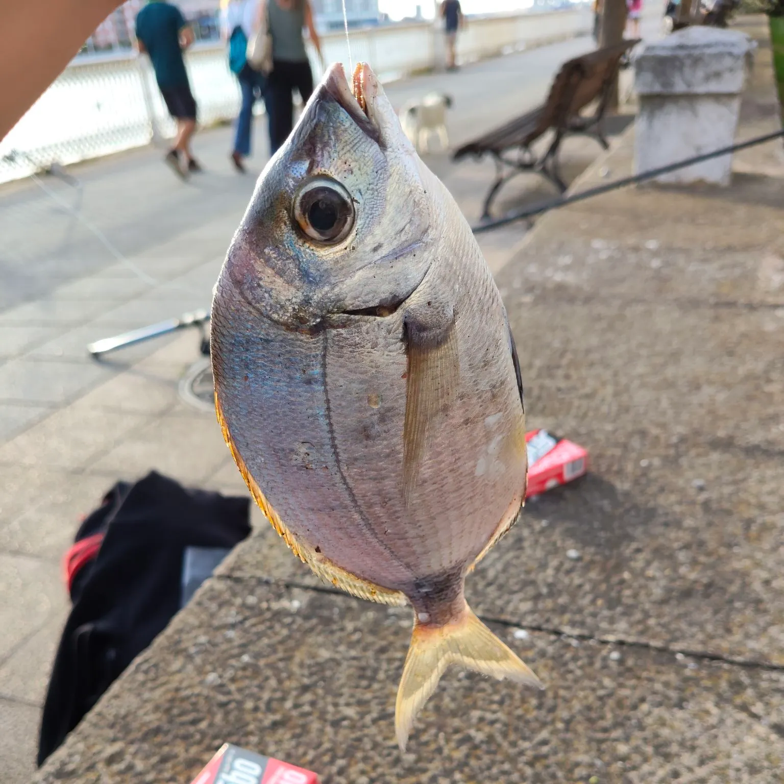 catch