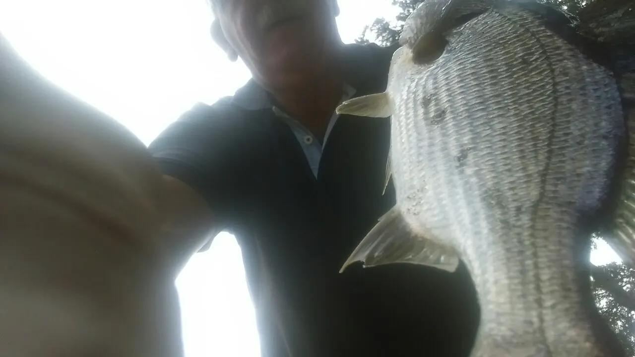 Post image from ianmathieson