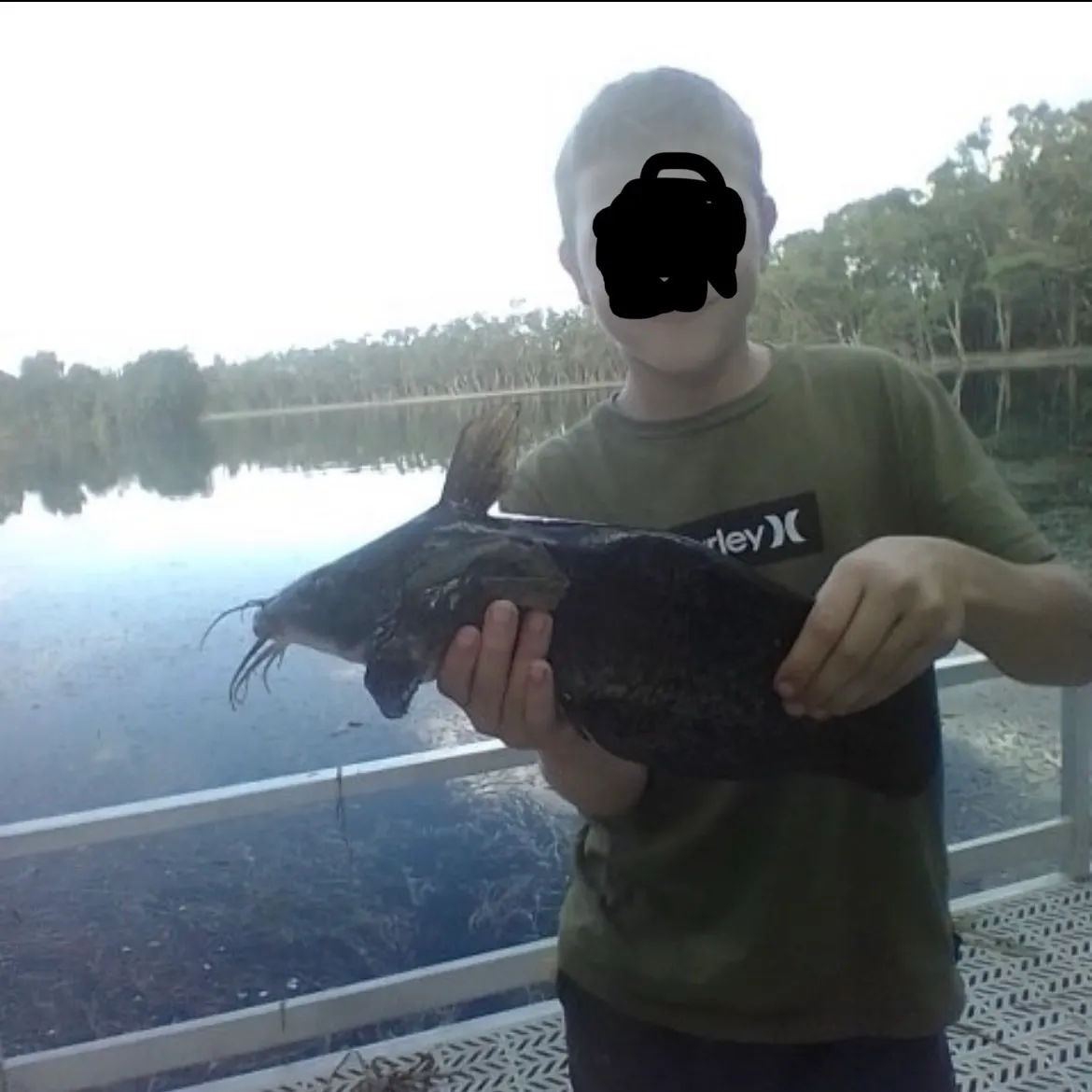 The most recent Dewfish catches on Fishbrain