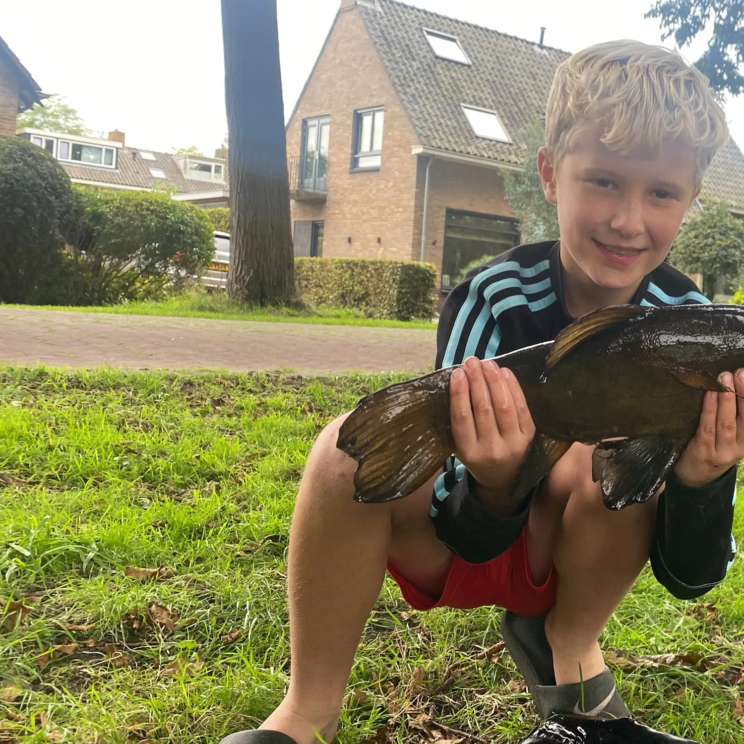 Tench caught on Fishbrain