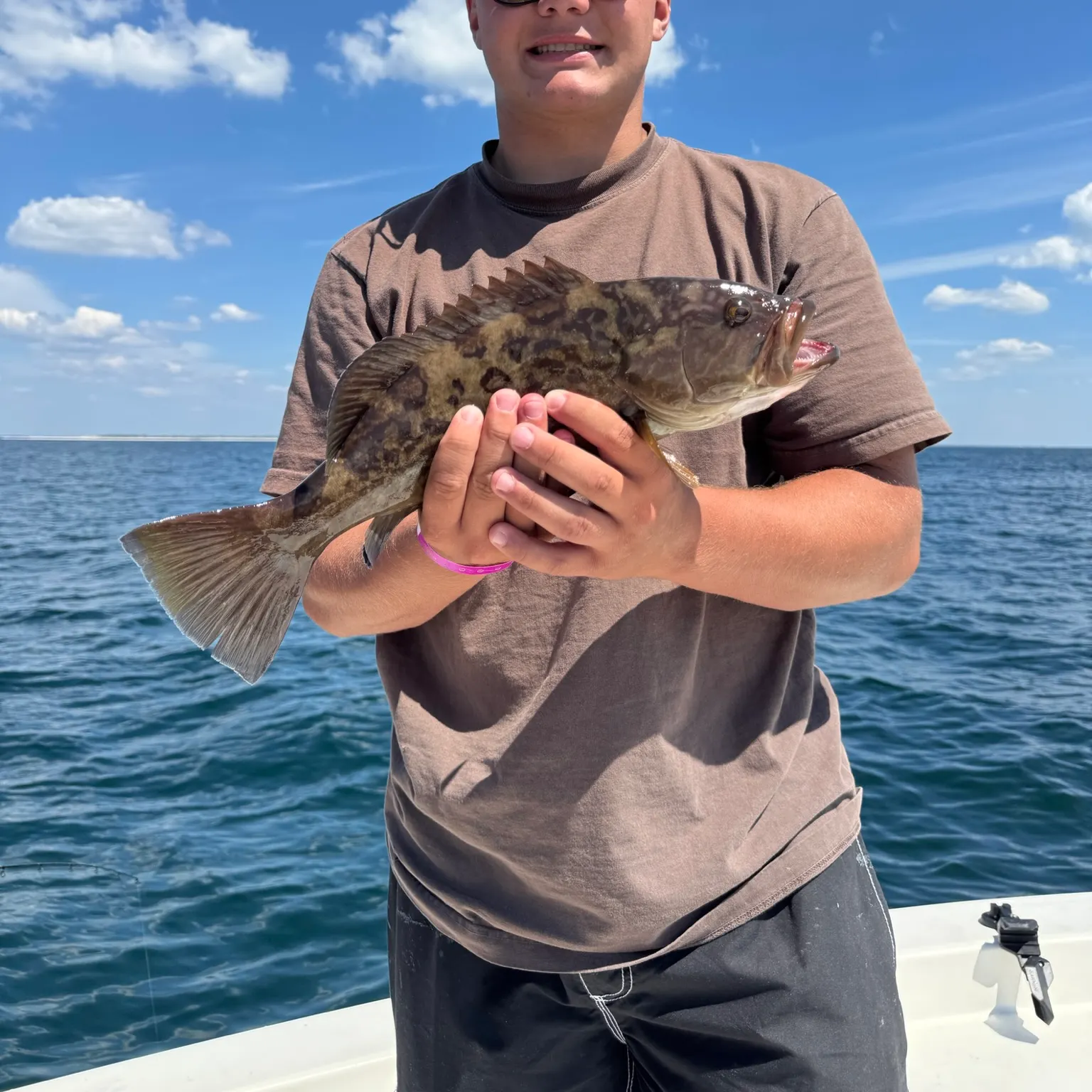 The most recent Gag grouper catches on Fishbrain
