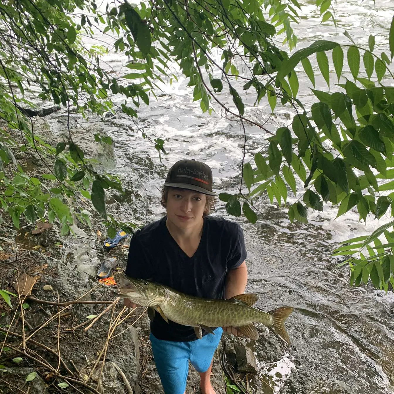 recently logged catches