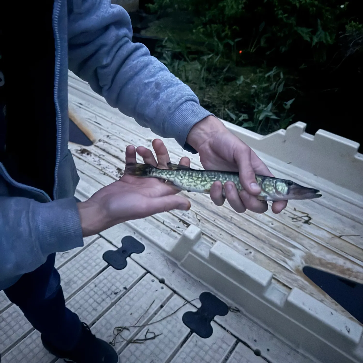 catch