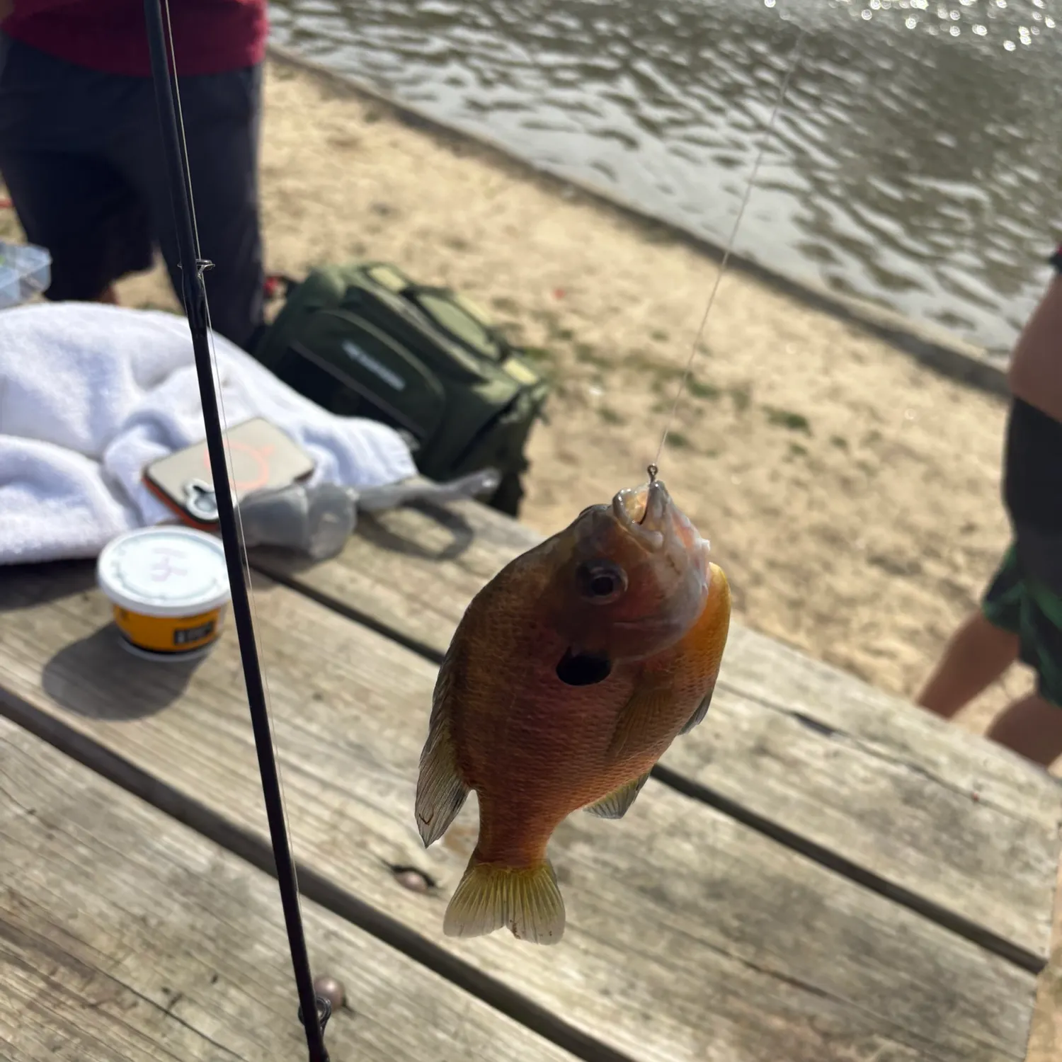 catch