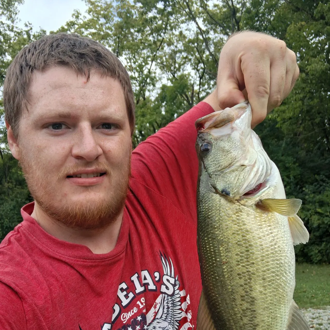 Largemouth bass caught on Fishbrain