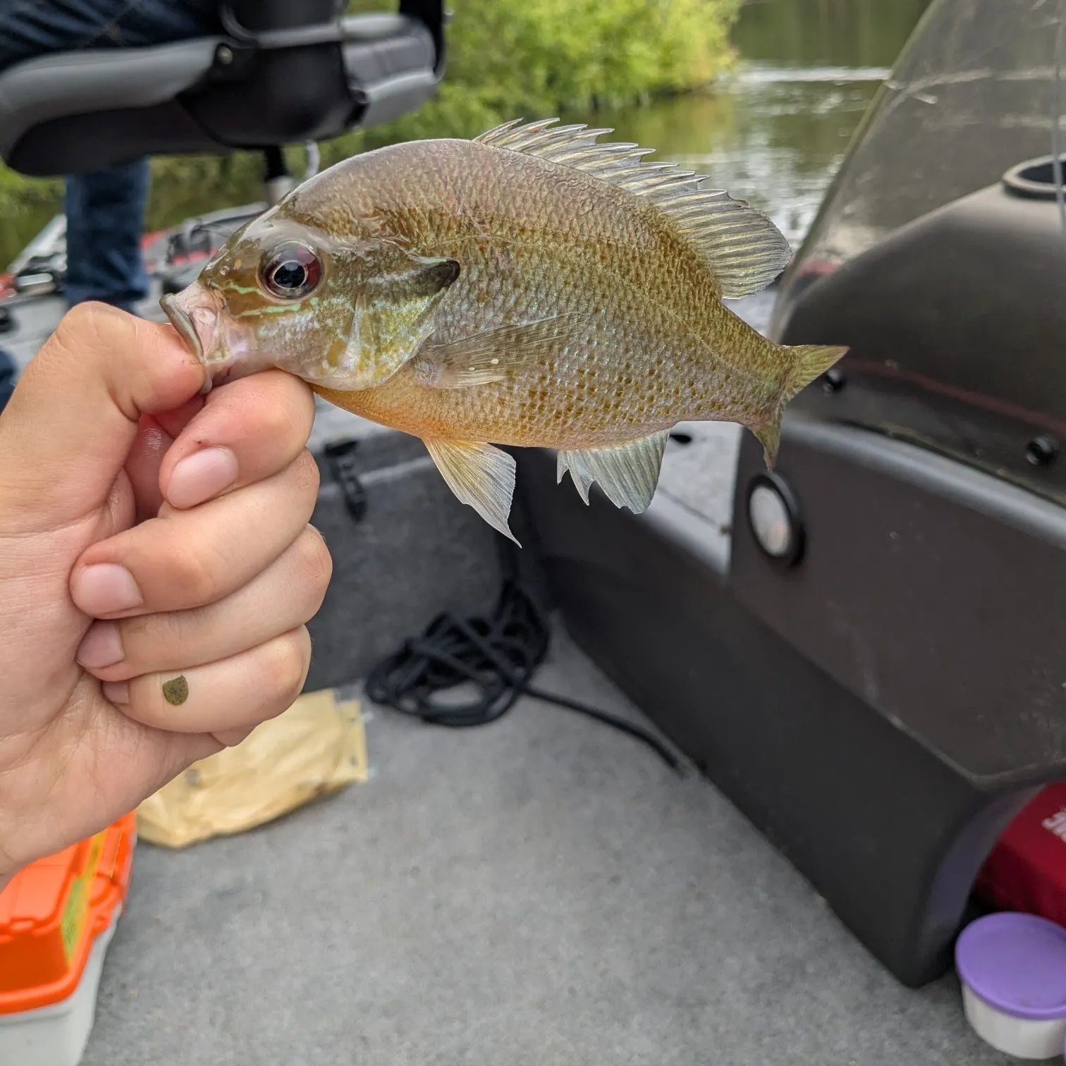 catch