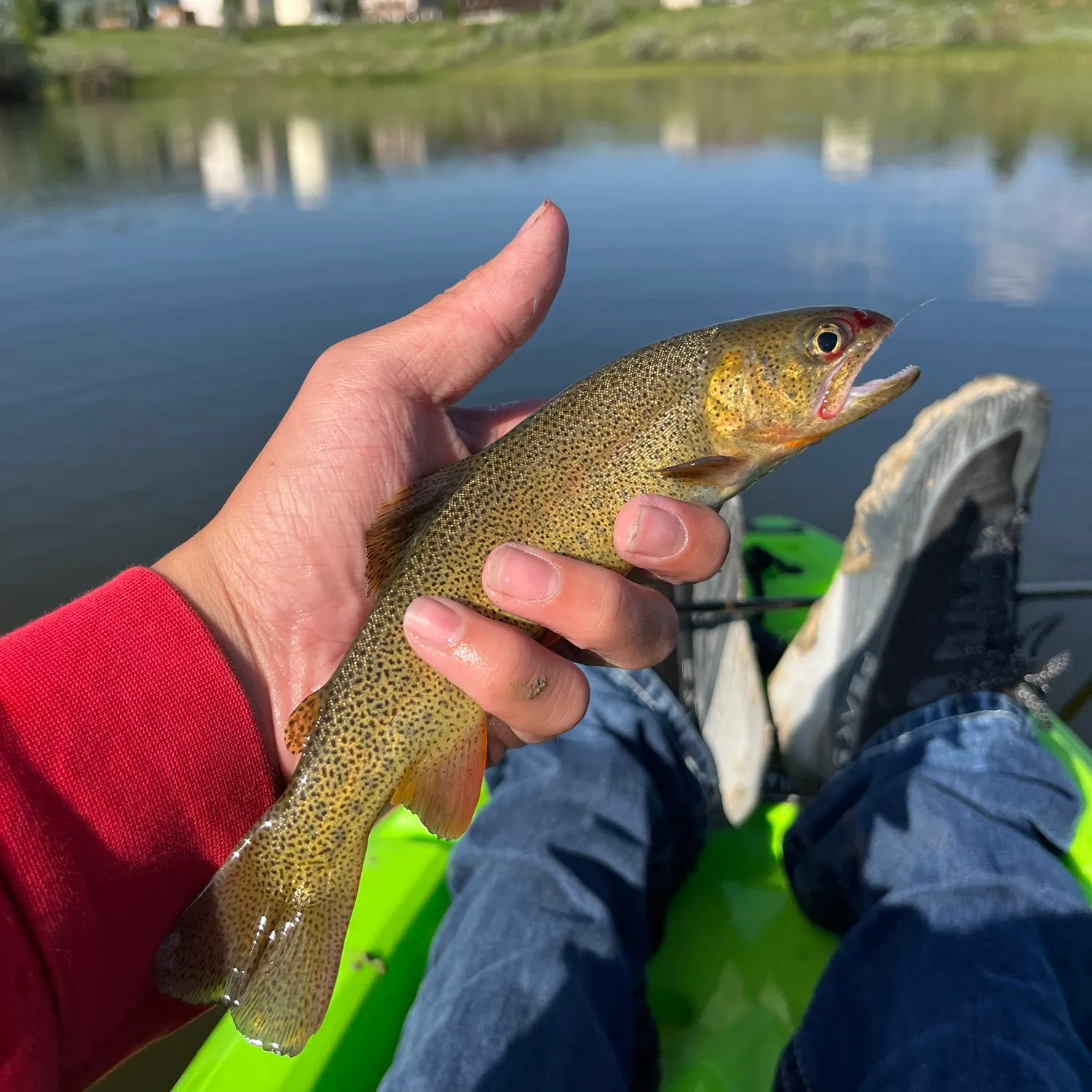 catch