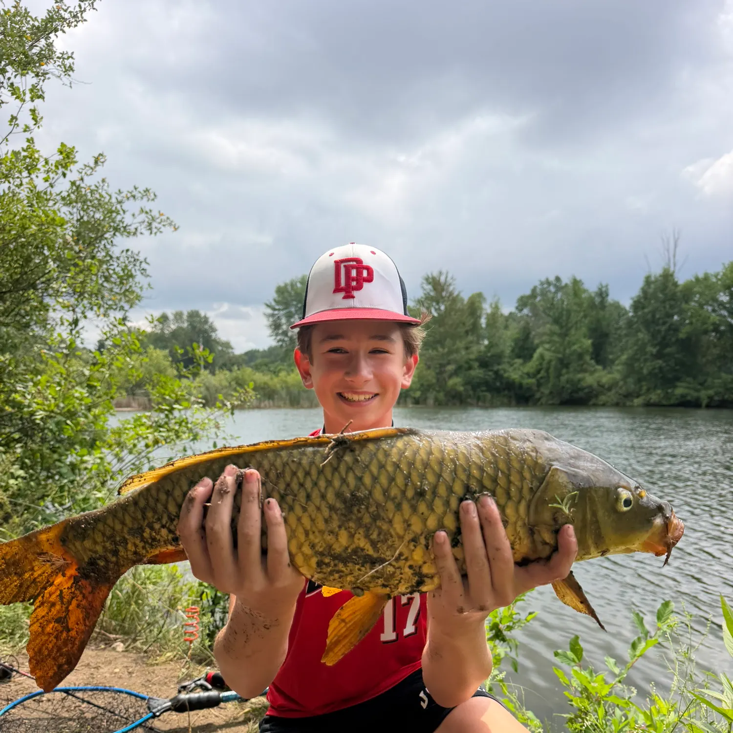 Common carp caught on Fishbrain