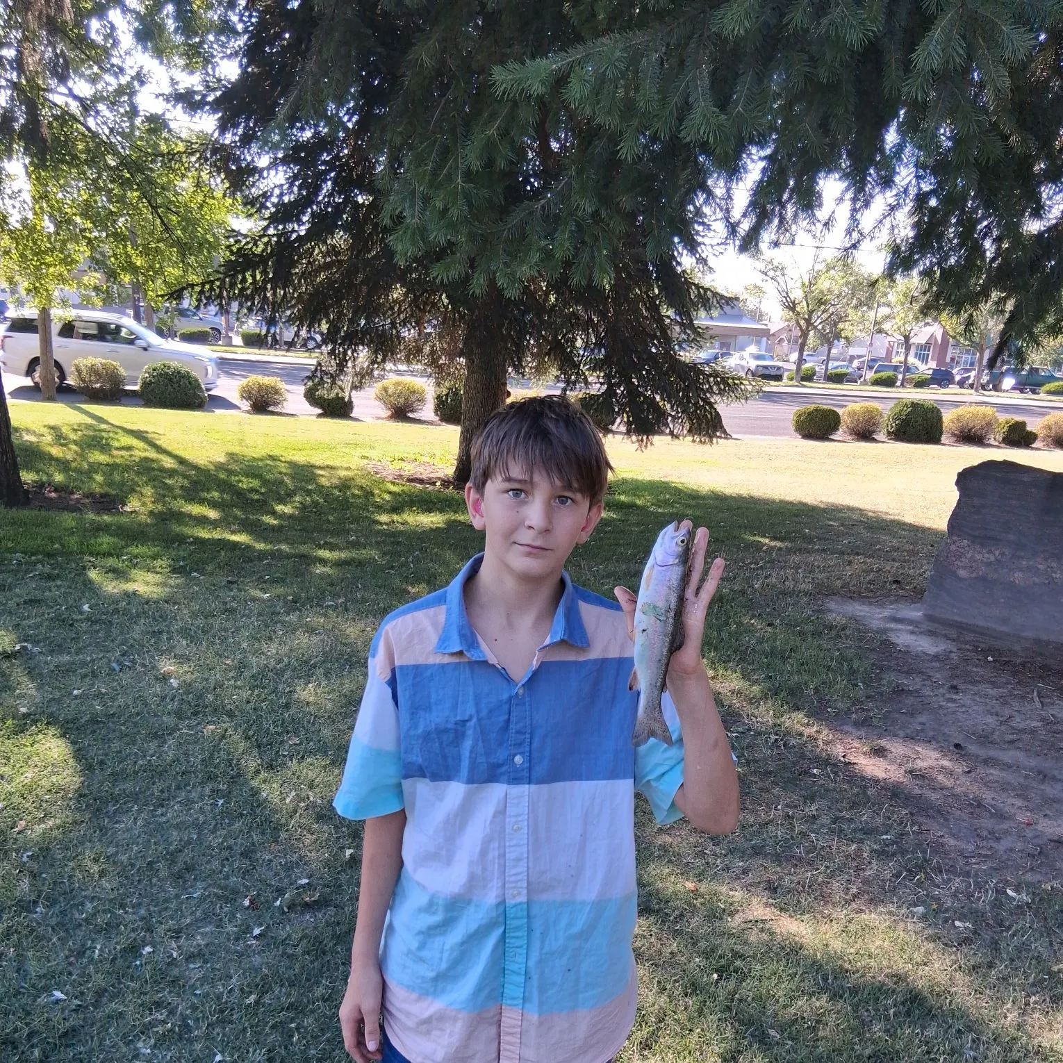 Rainbow trout caught on Fishbrain