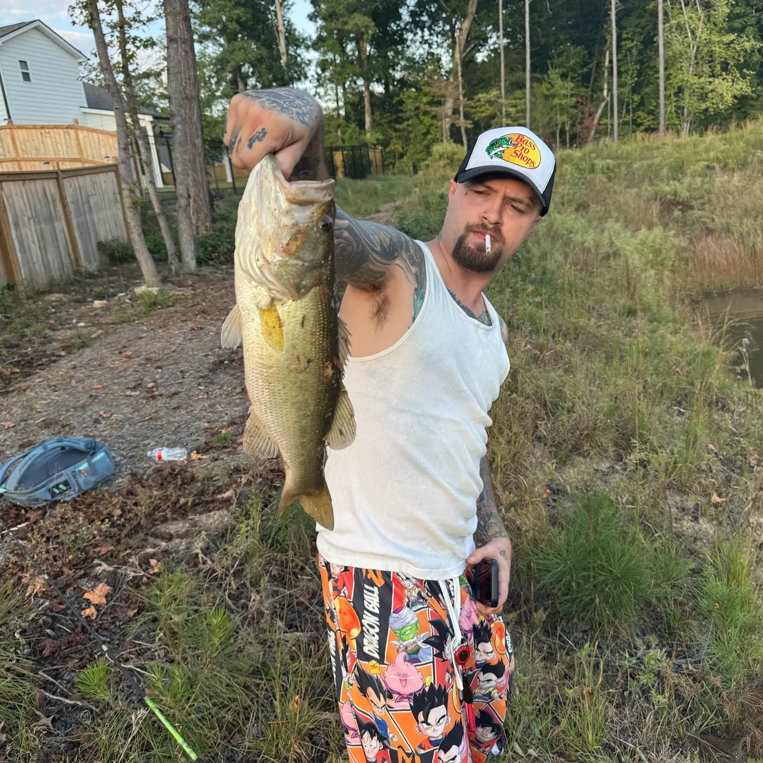 Largemouth bass caught on Fishbrain