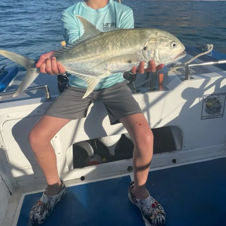 The most recent Pacific crevalle jack catches on Fishbrain