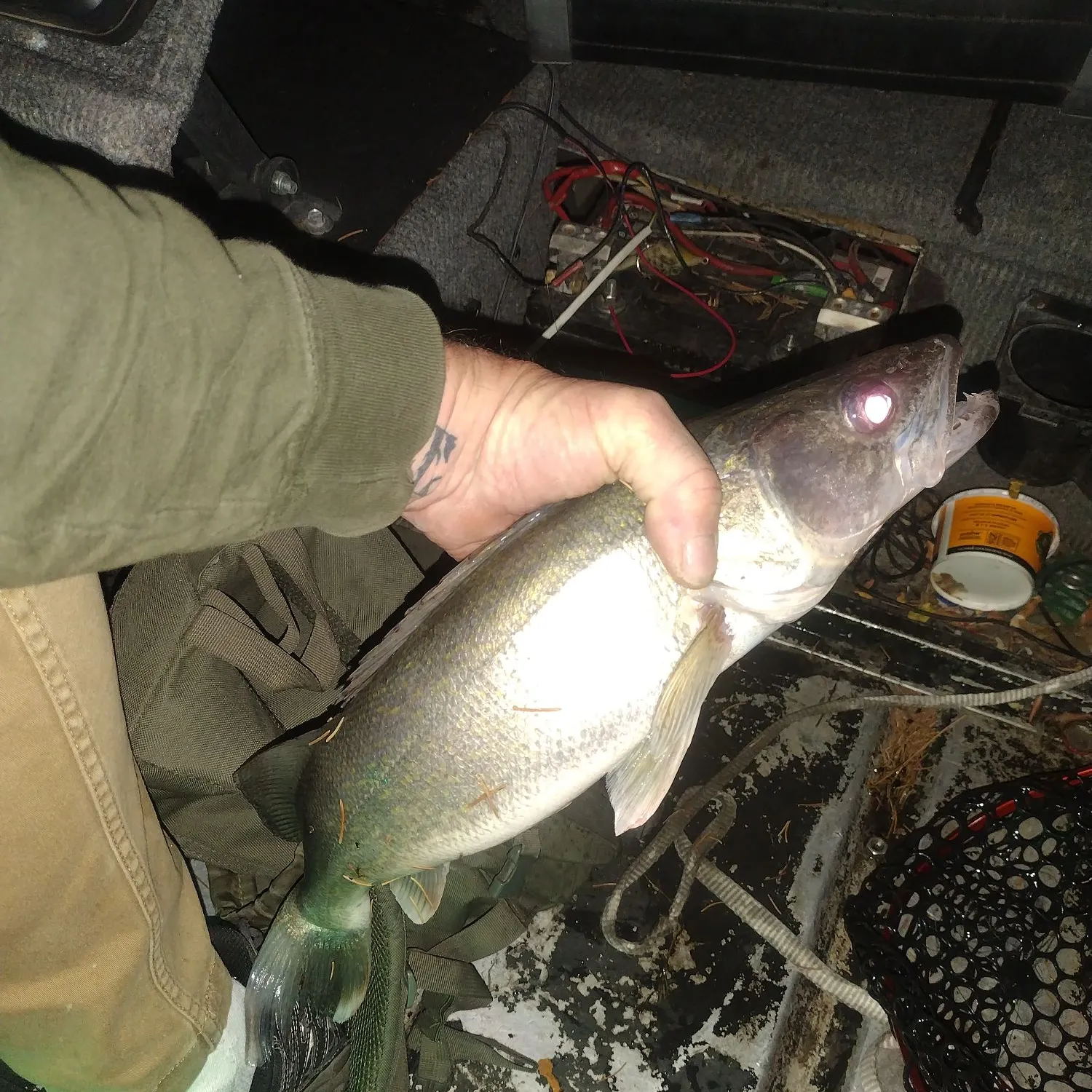 Walleye caught on Fishbrain