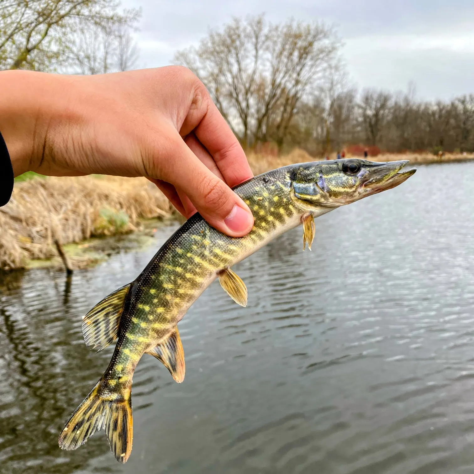 catch