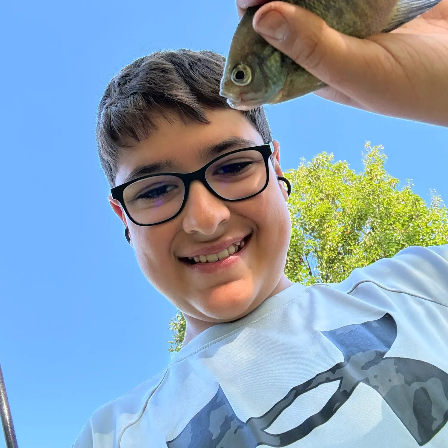 Bluegill caught on Fishbrain