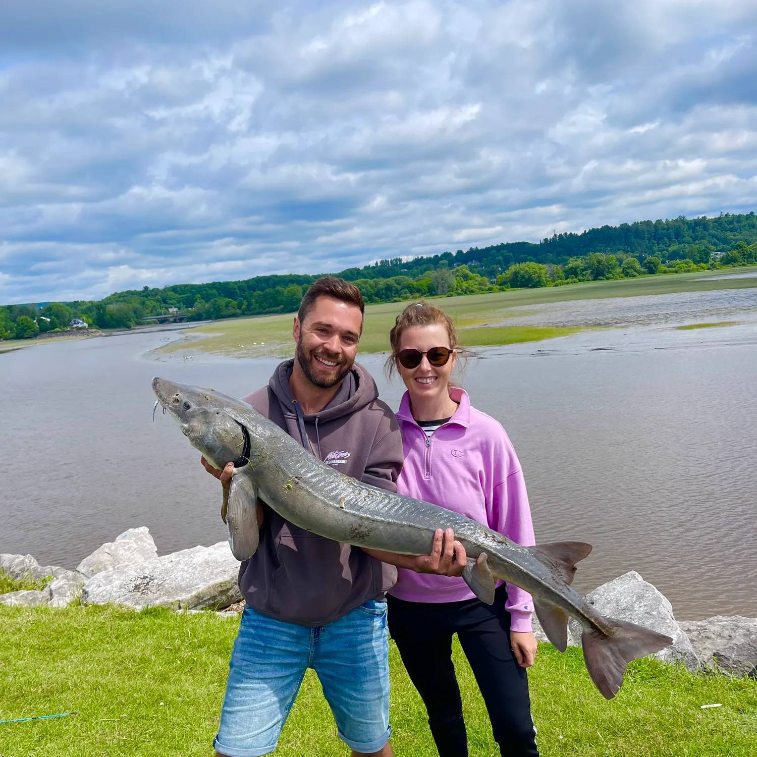 The most recent Beluga sturgeon catches on Fishbrain