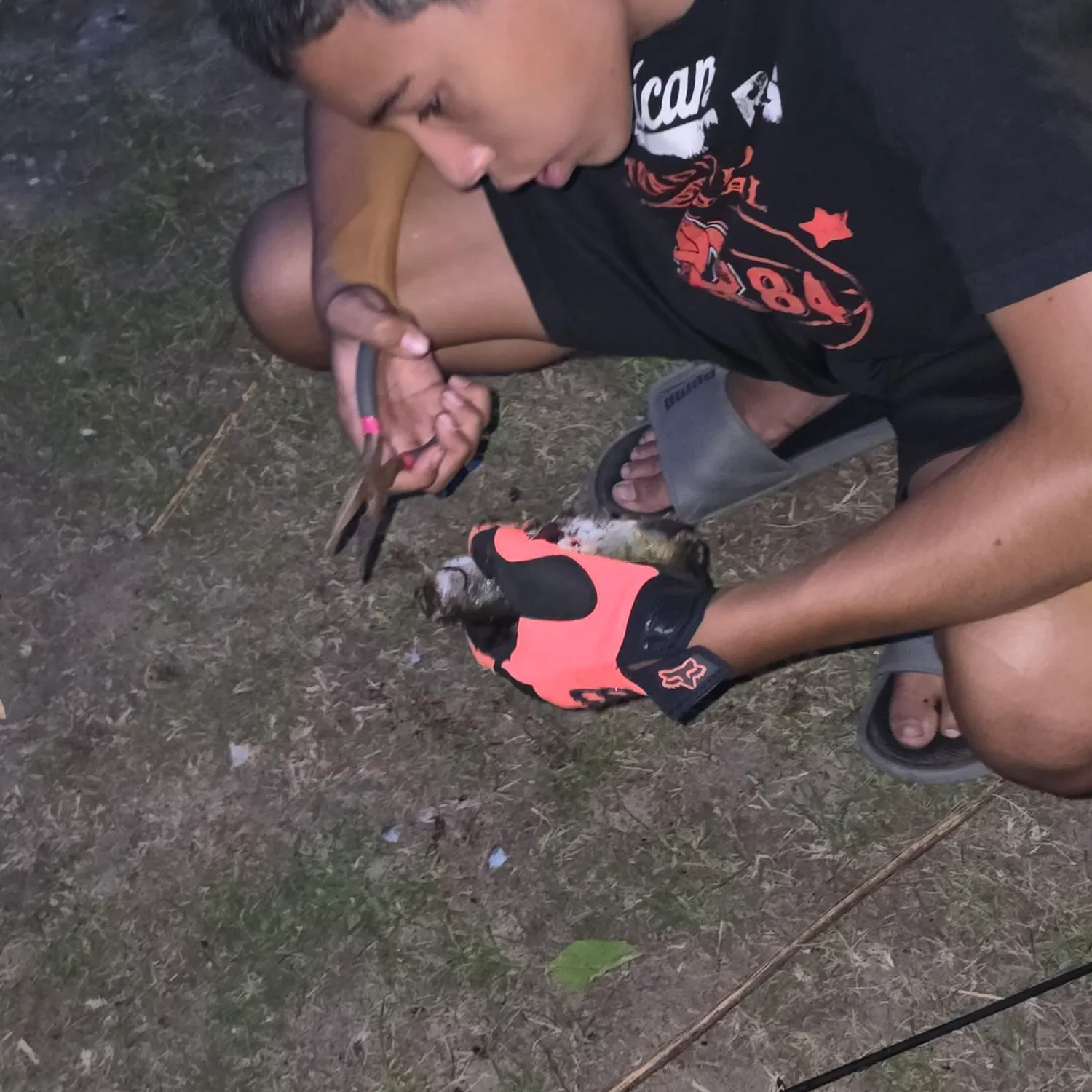 catch