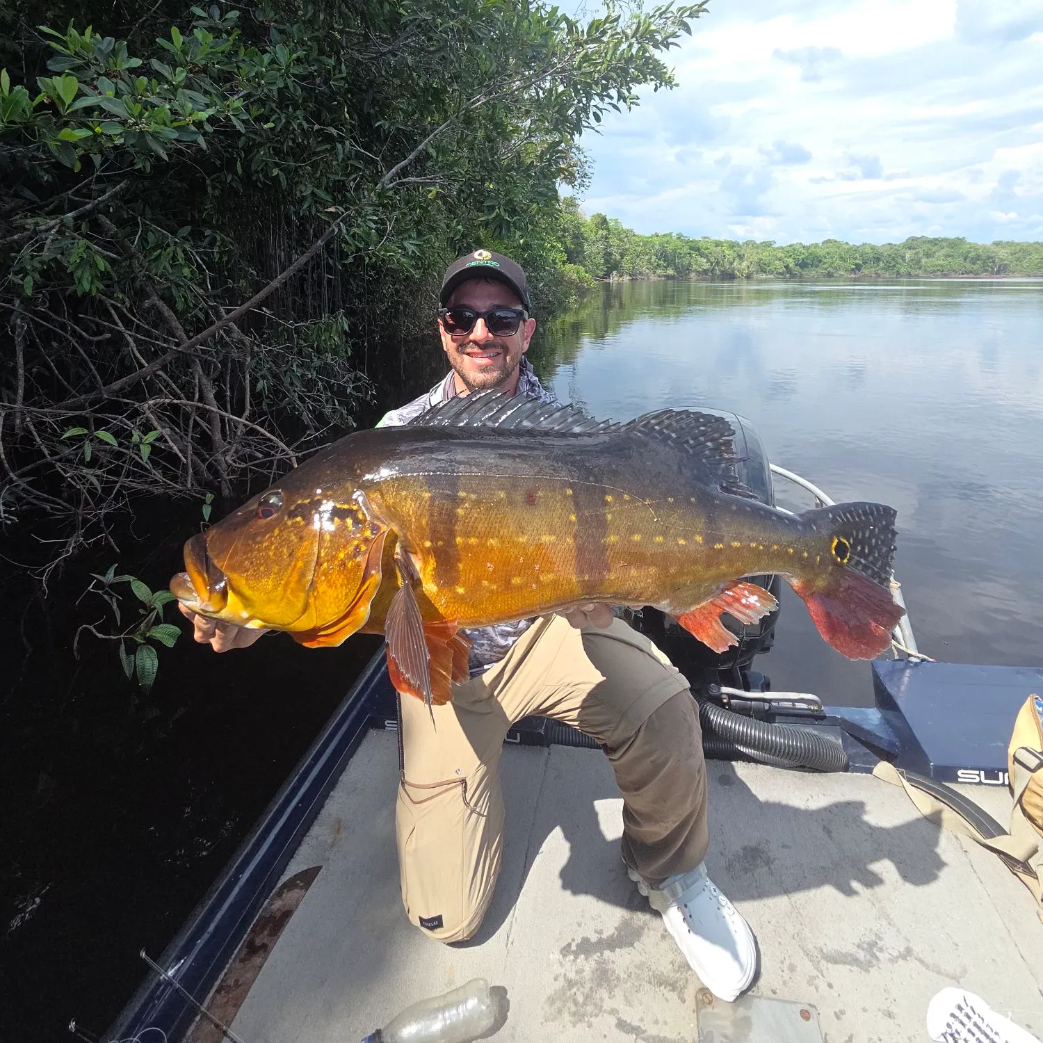 Speckled peacock bass caught on Fishbrain