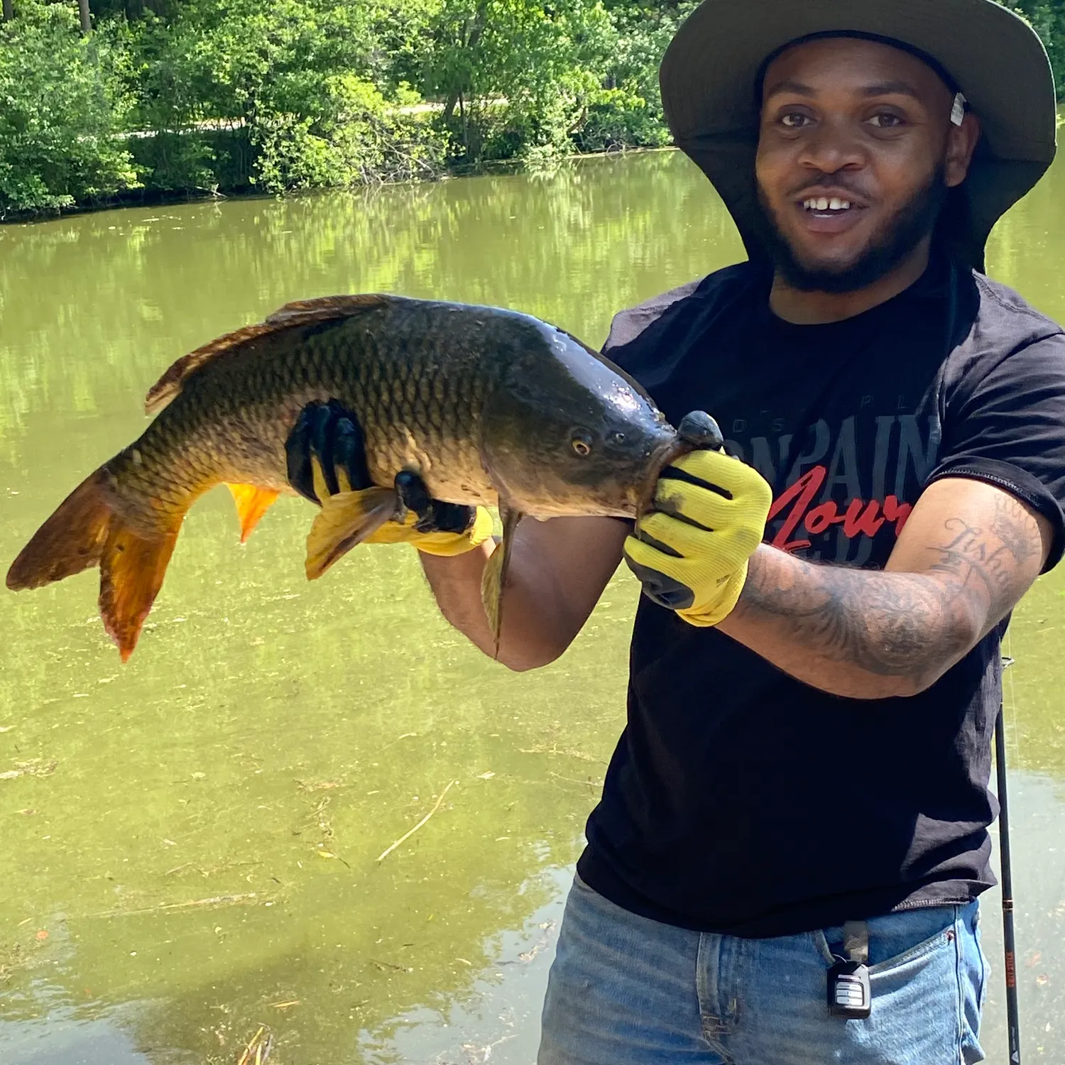 recently logged catches