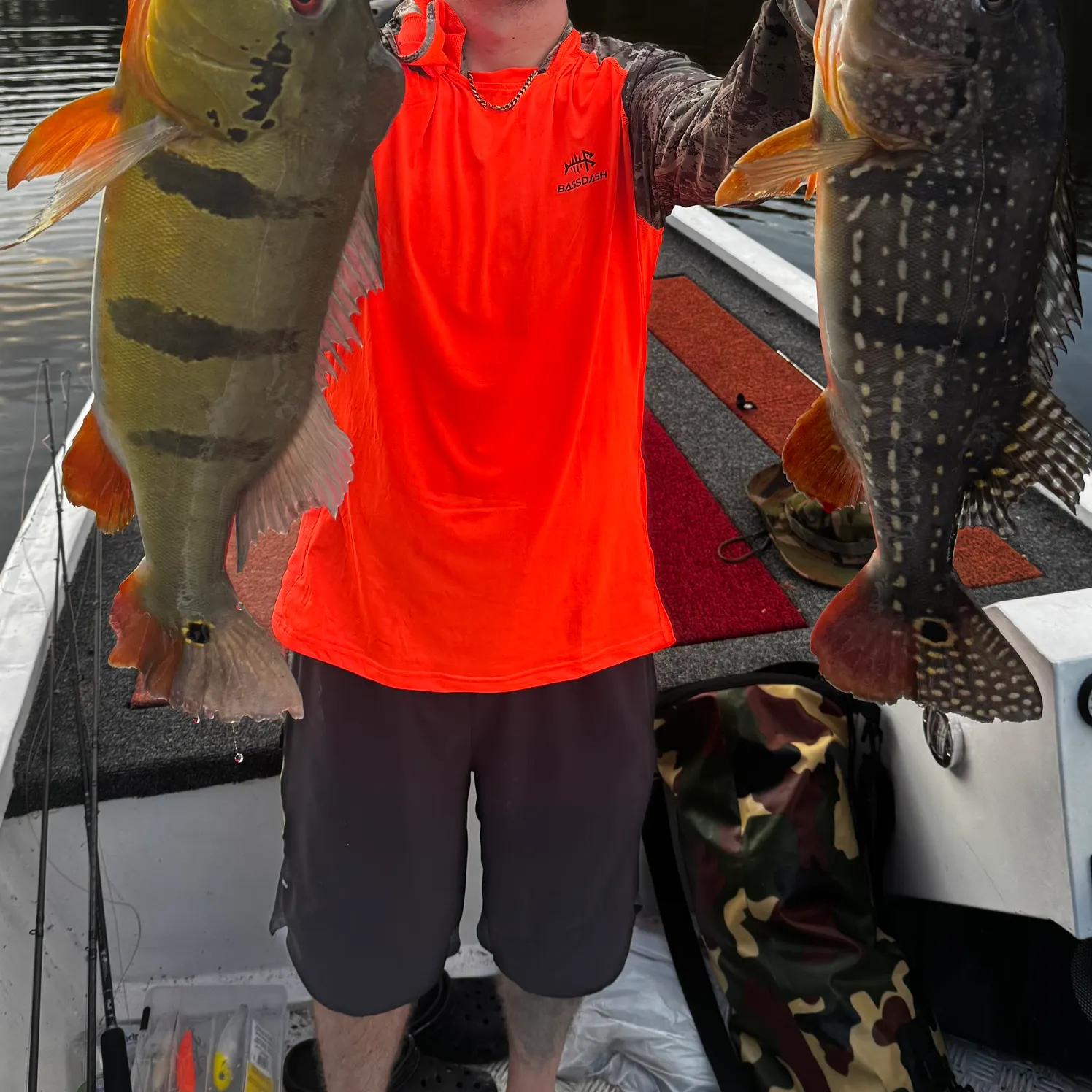Butterfly peacock bass caught on Fishbrain