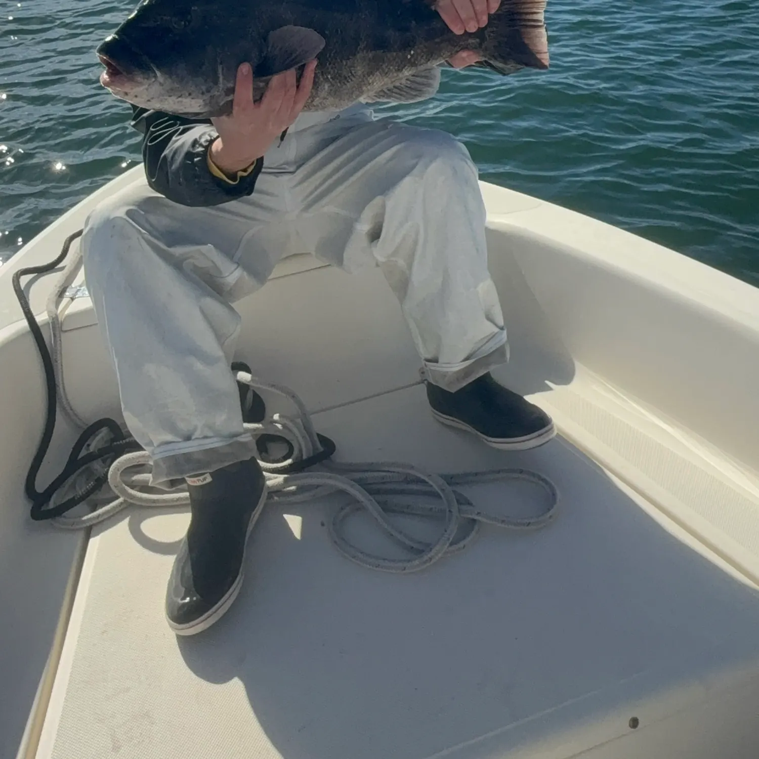 Tautog caught on Fishbrain