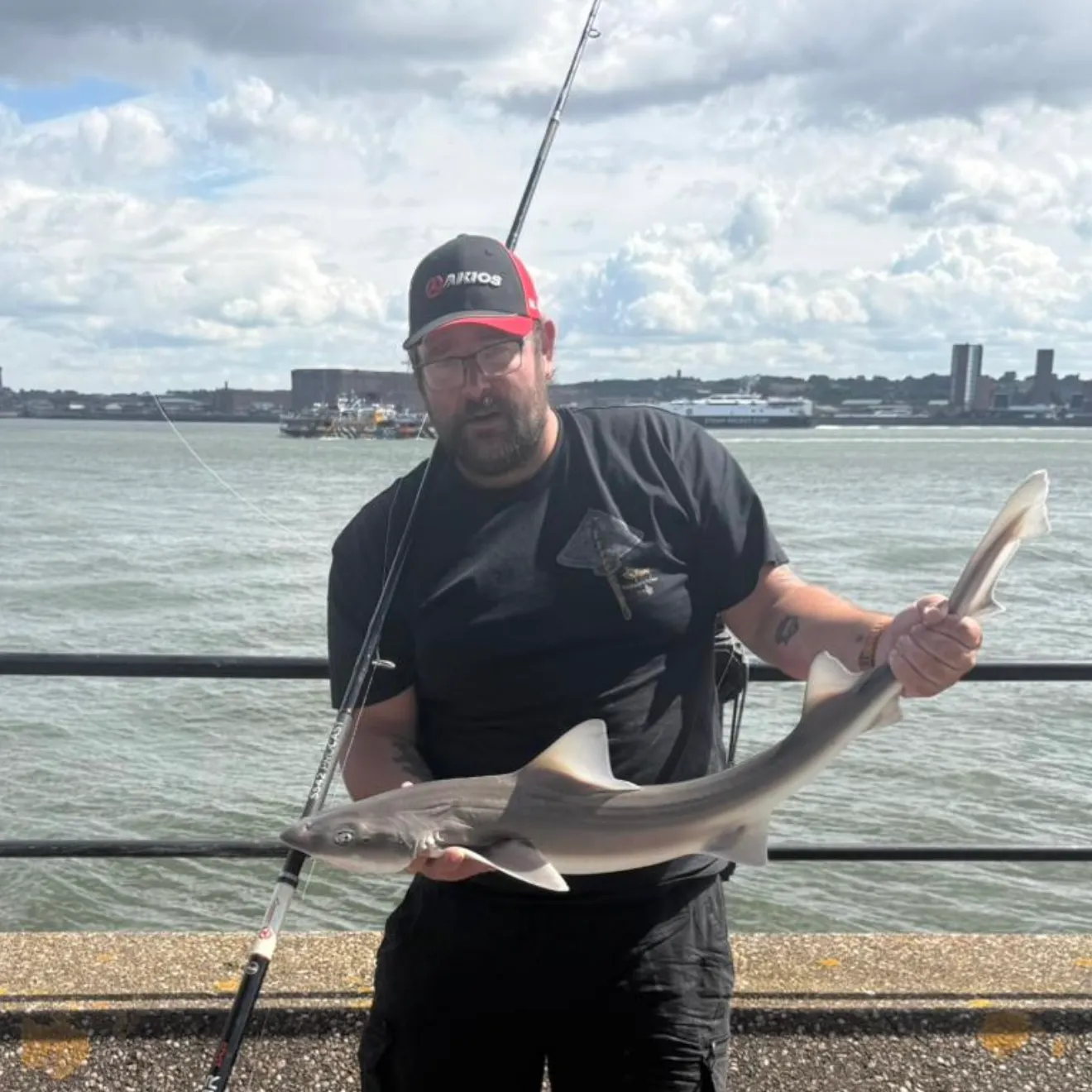 Starry smooth-hound caught on Fishbrain