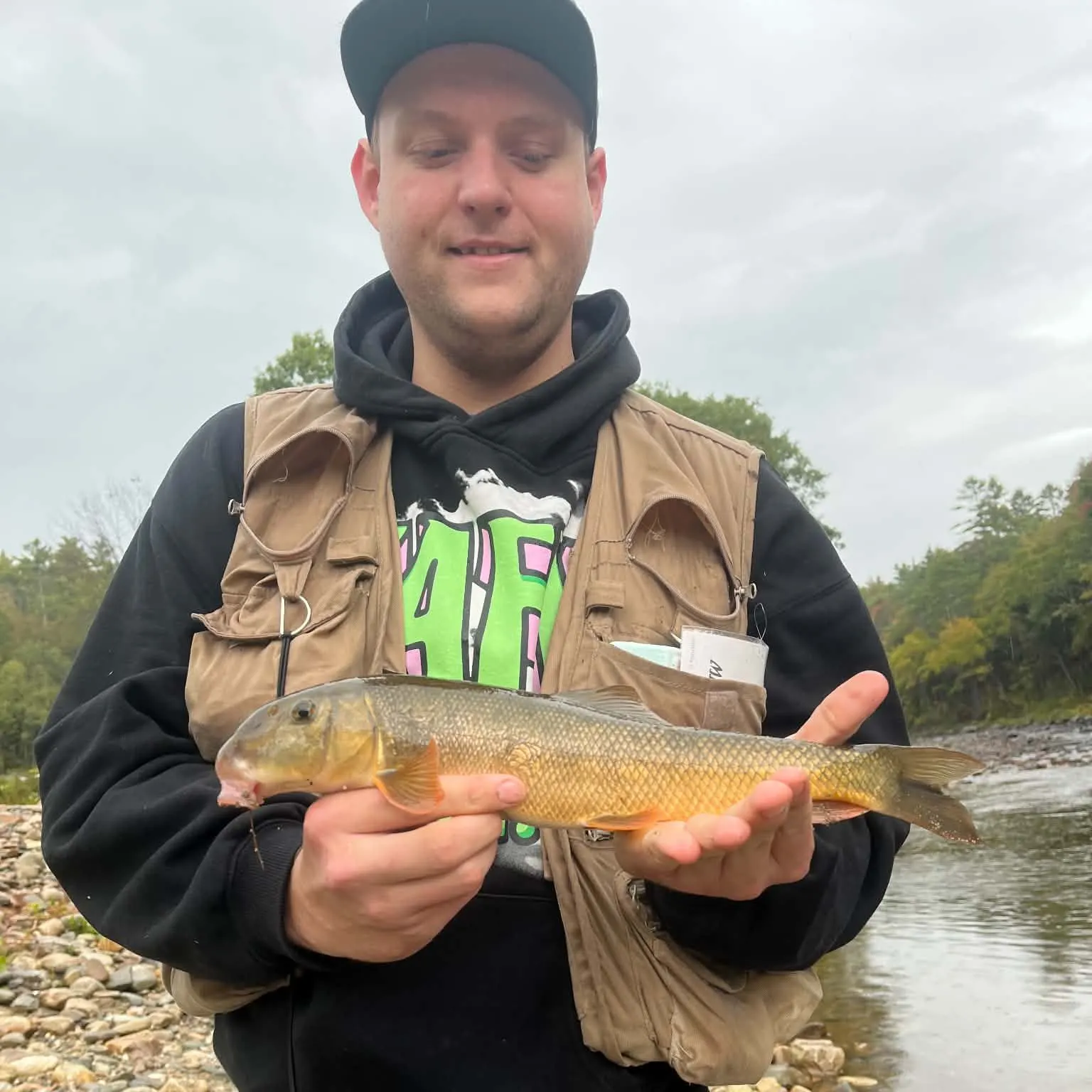 White sucker caught on Fishbrain