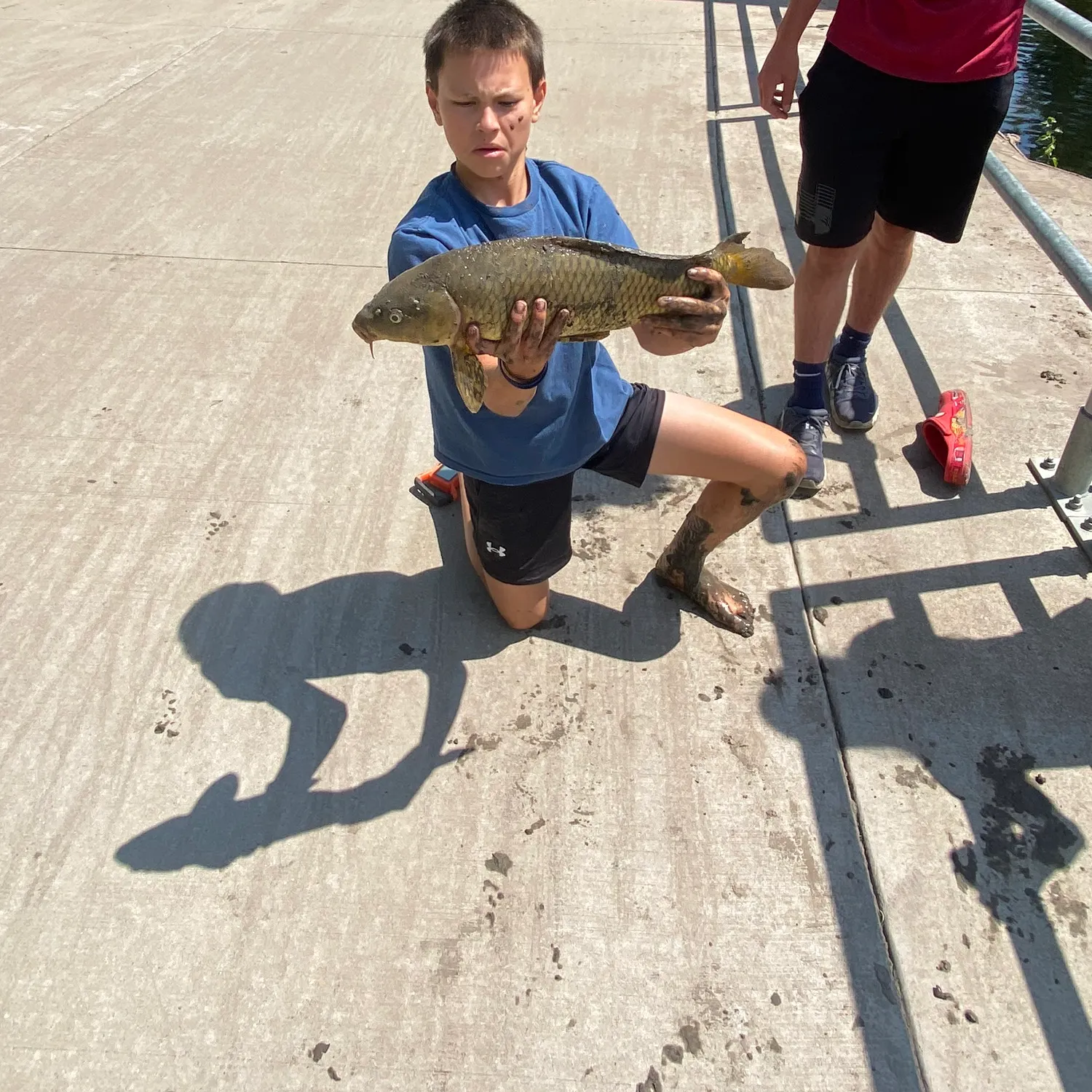 The most recent Common carp catches on Fishbrain