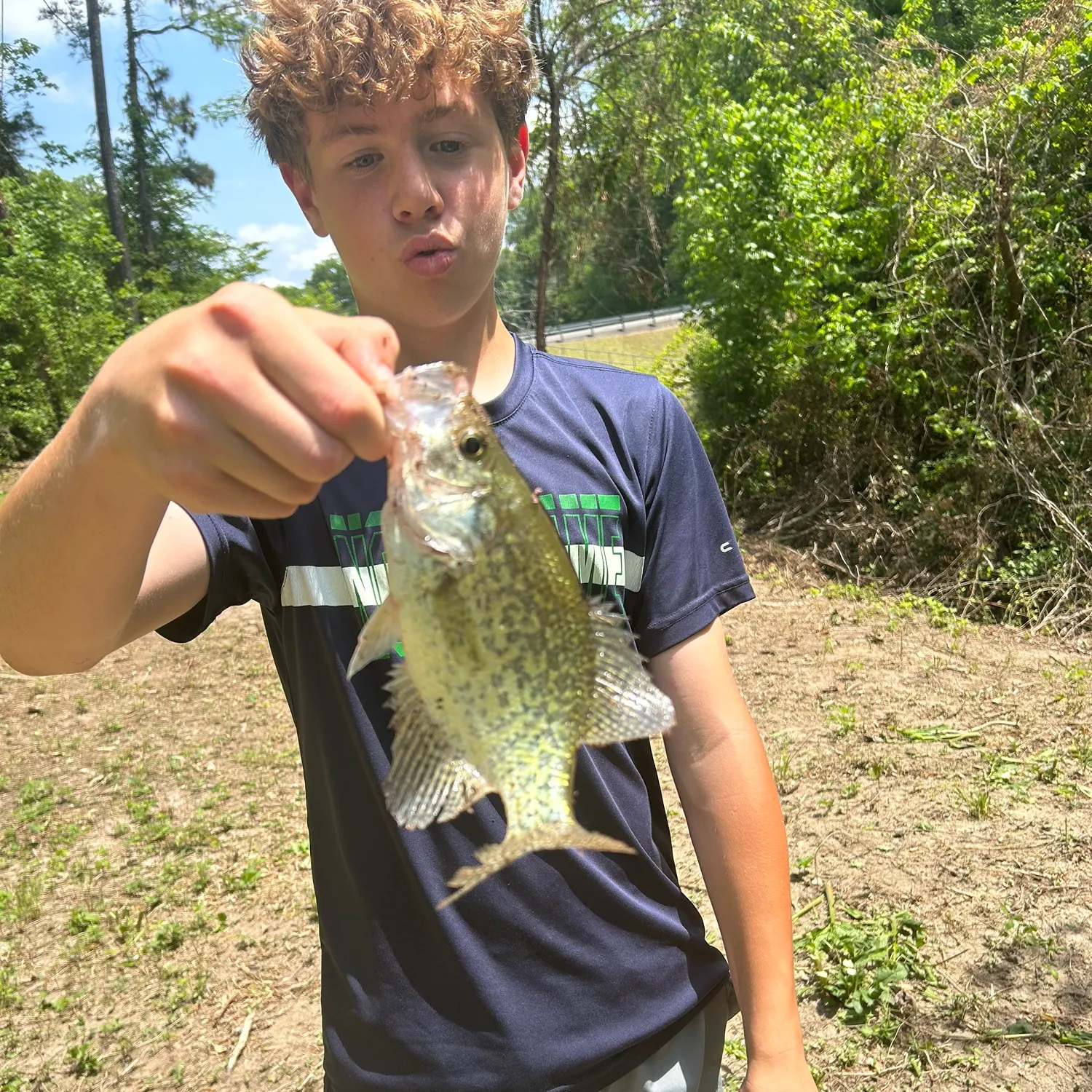 most liked catch image