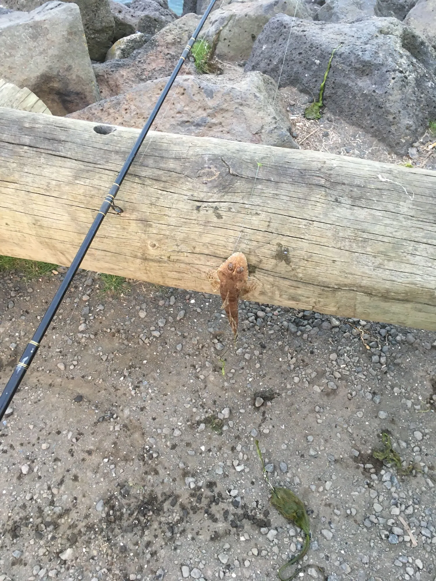 Post image from jborg4742