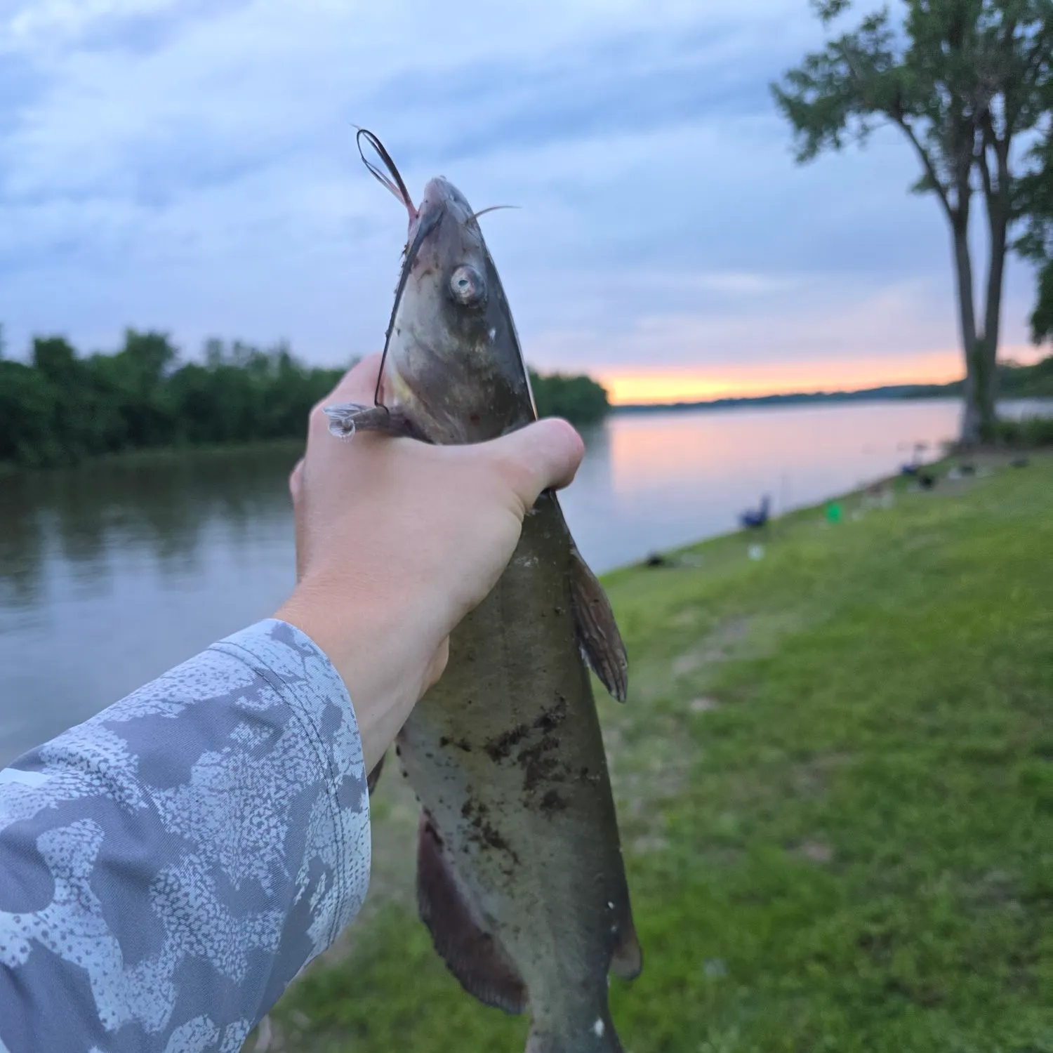 catch